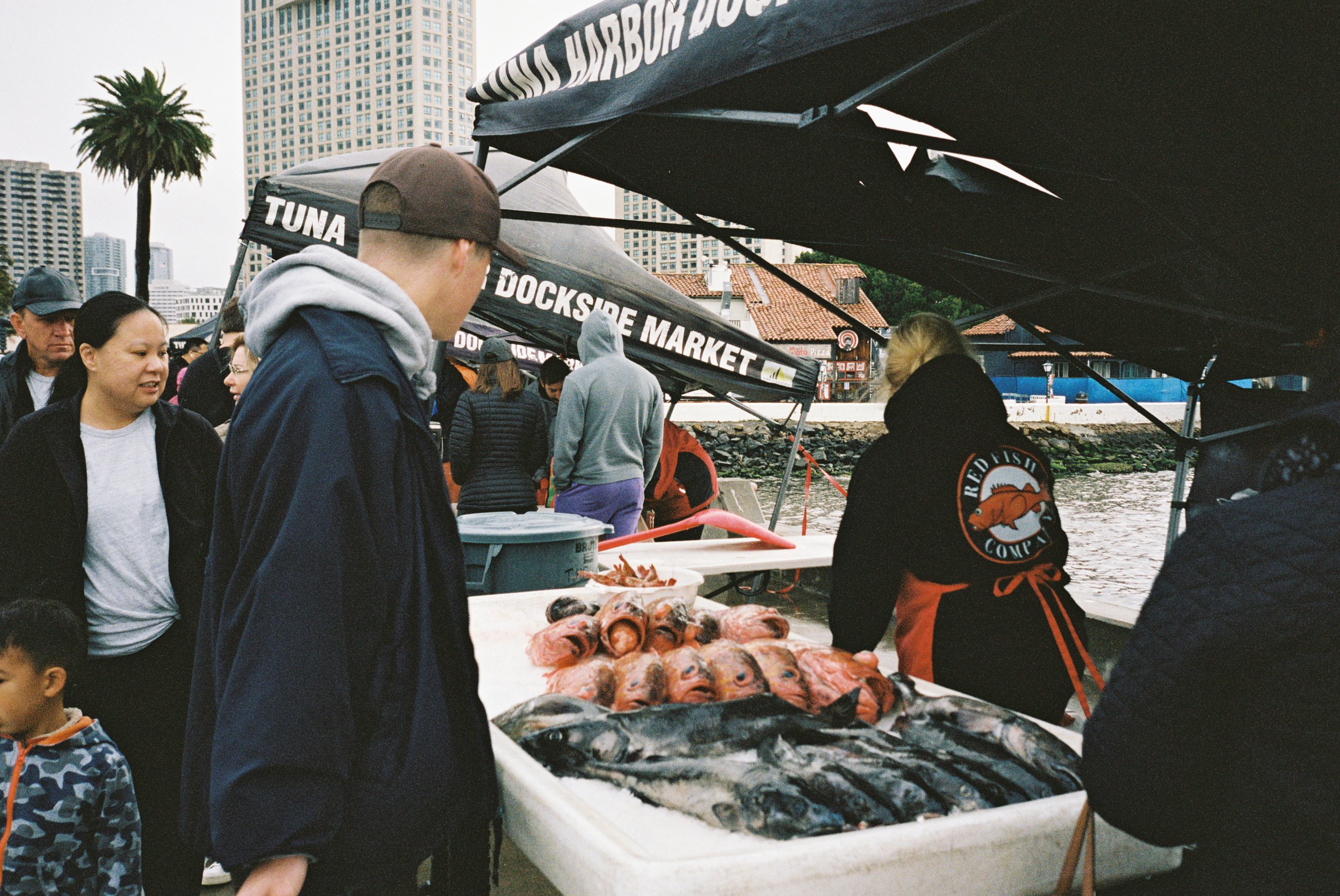 "Aidan Owens featured in Business Insider sharing 3 red flags to look out for at a seafood restaurant, highlighting his expertise as executive chef at Herb & Wood and Herb & Sea in San Diego."