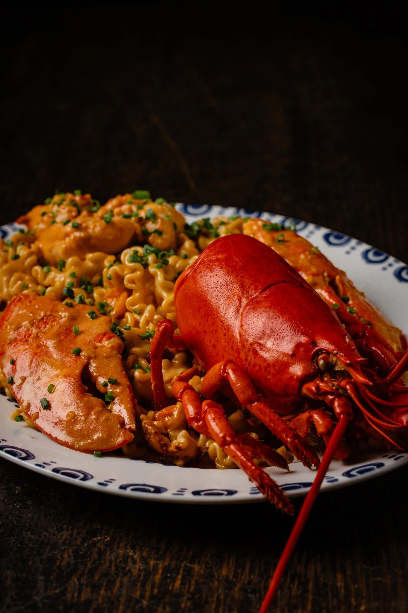 Herb & Wood - Fall 2024-048.jpg