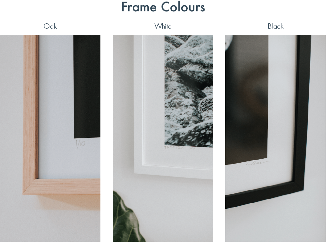 FRAME OPTIONS 4x3 with text.png