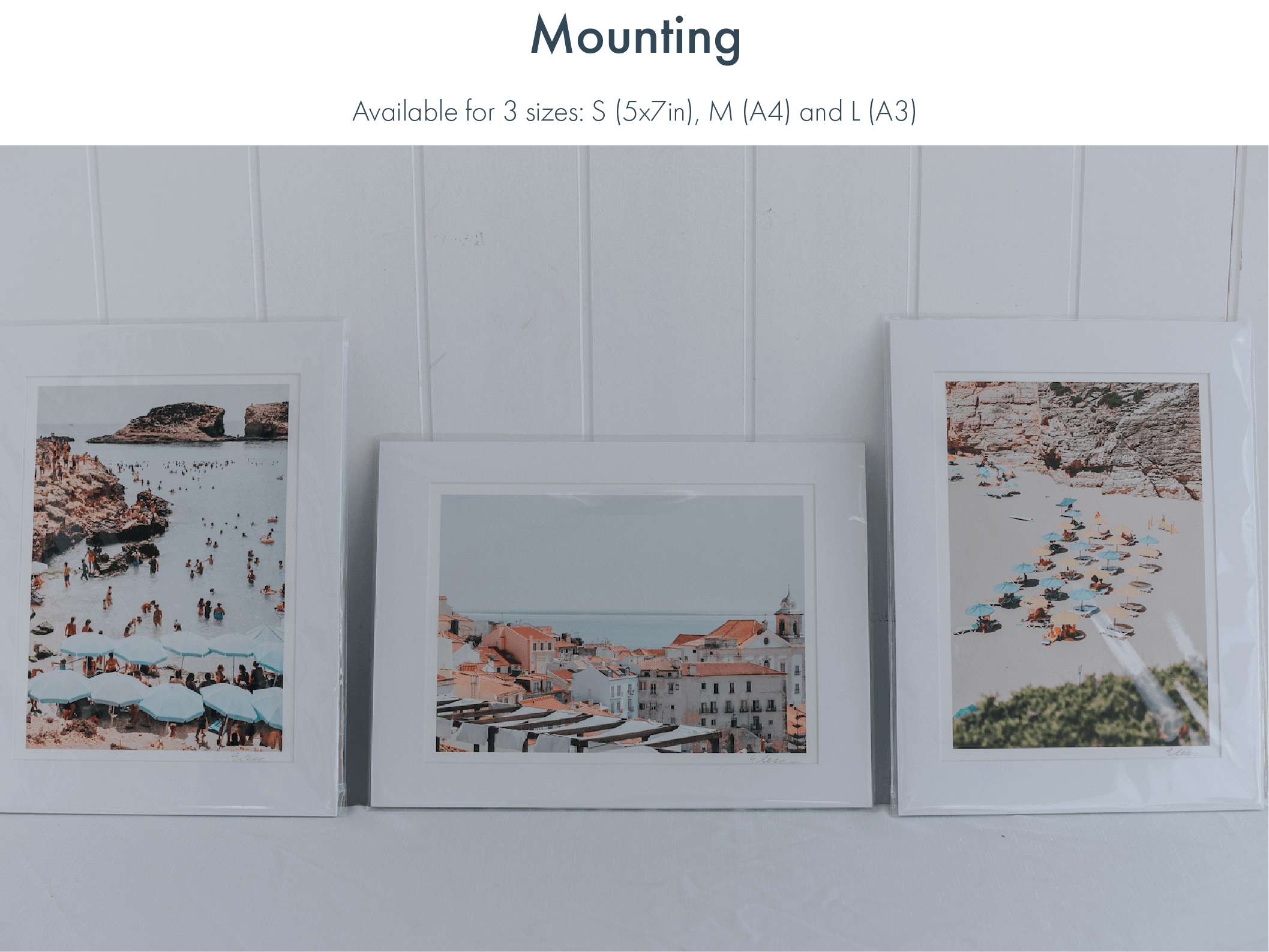 MOUNT OPTIONS with text-01-01.png