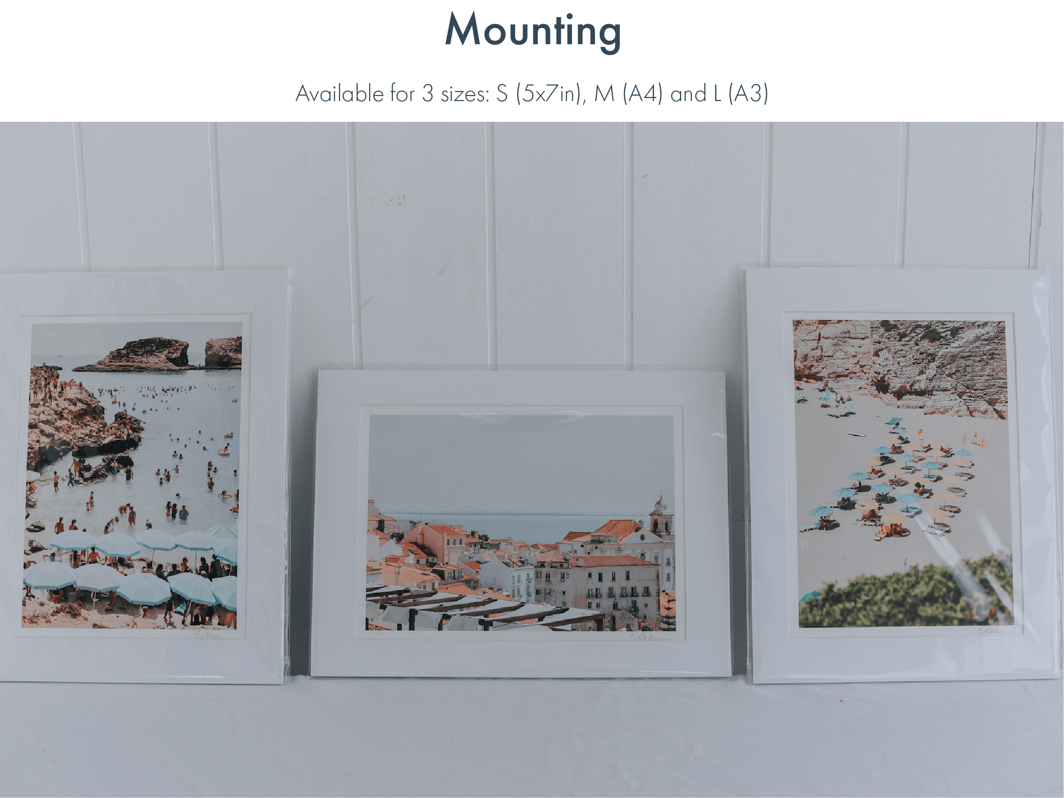 MOUNT OPTIONS with text-01-01.png