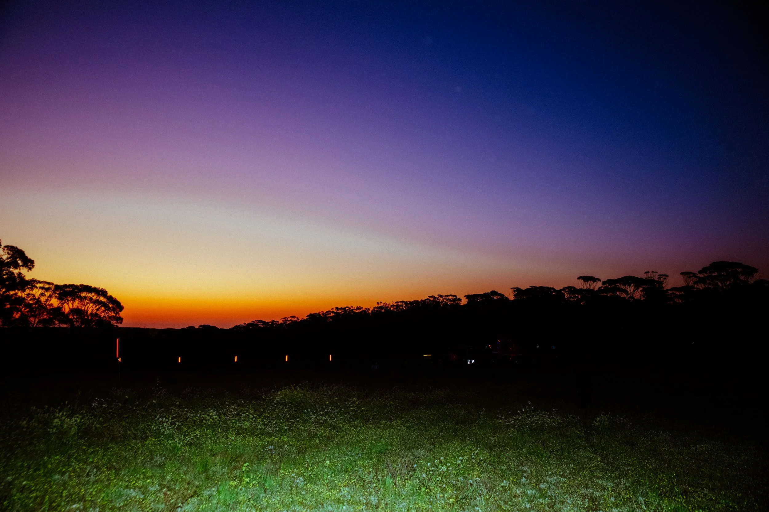 _27A6375.jpg