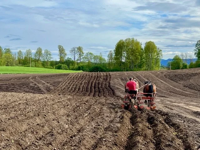 Svensk Kolinlagring på KSLA 3 nov