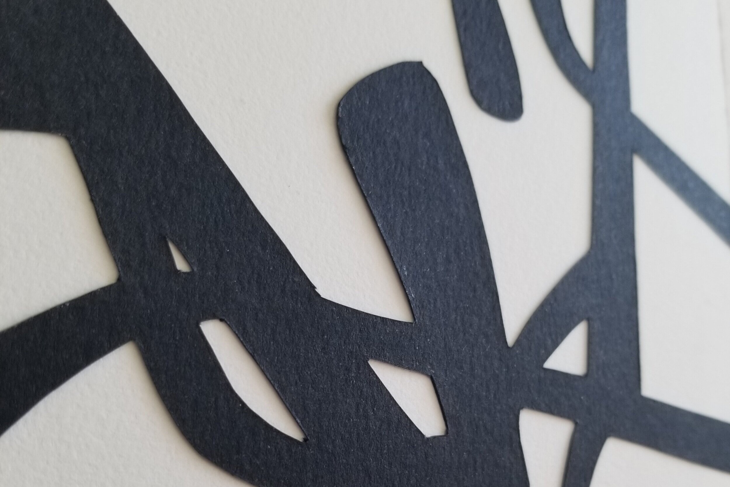 20190324_124238.jpg
