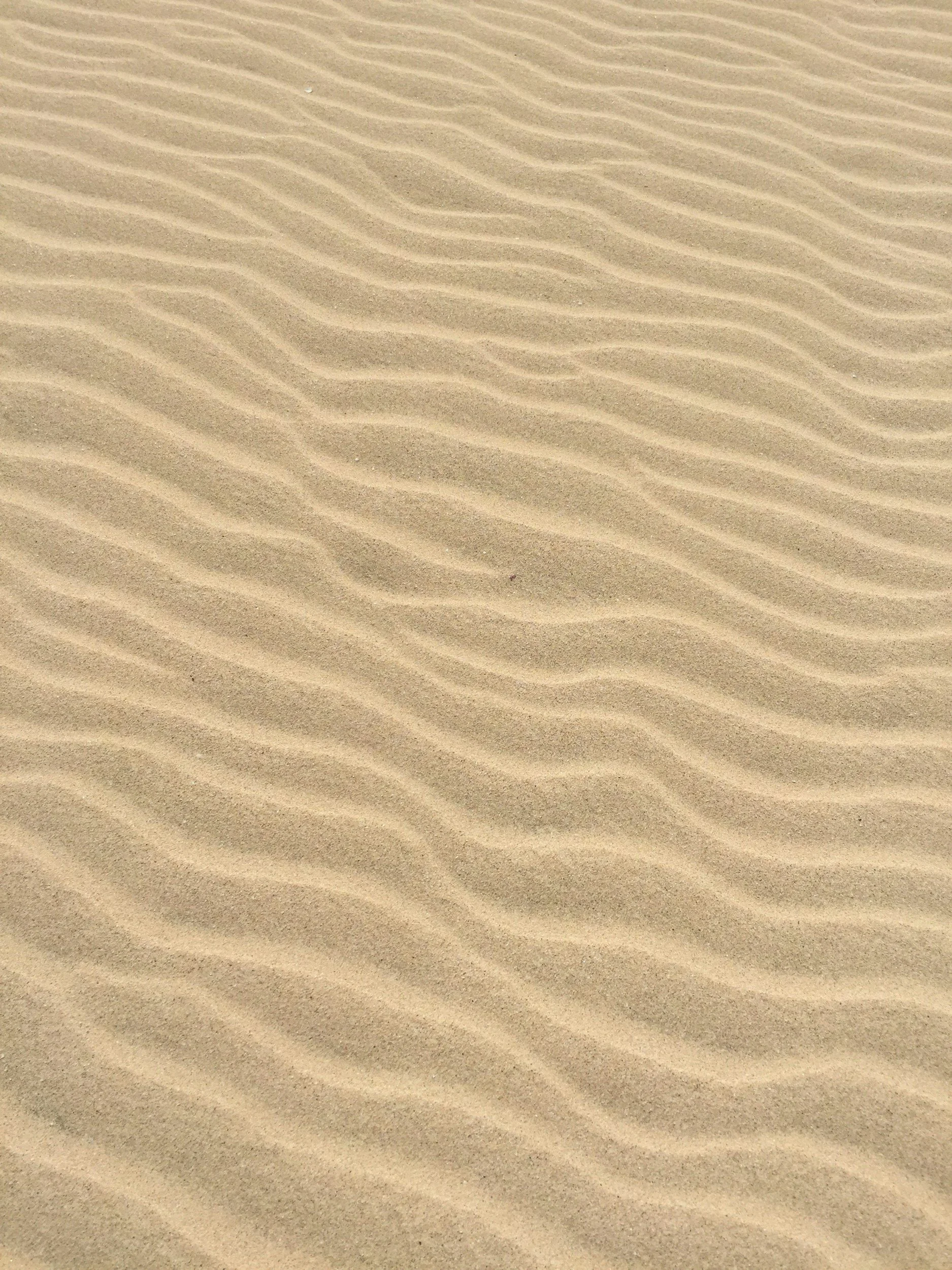unsplash-image-n5HOJGtYt4Q.jpg