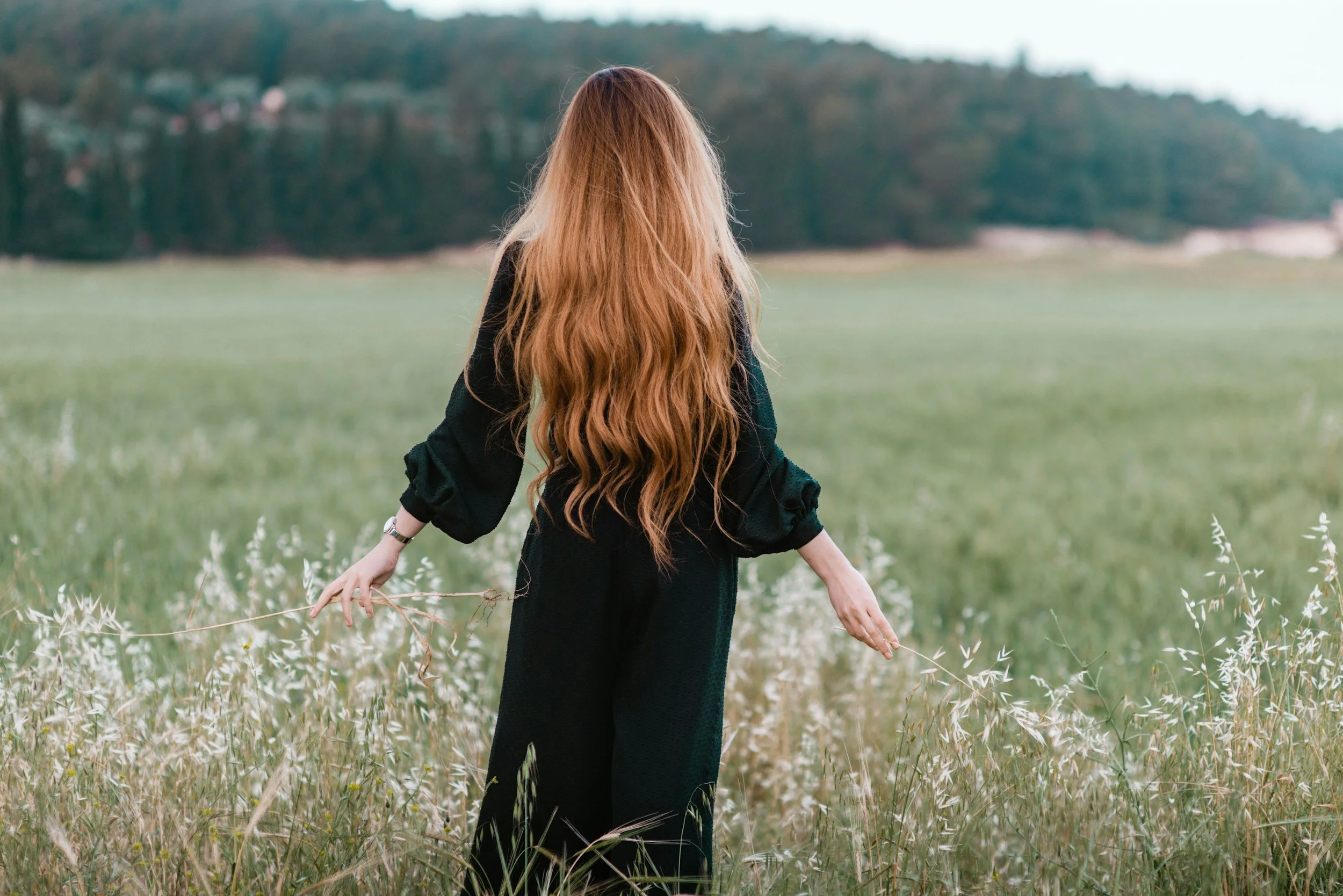 unsplash-image-moHYuEHHP3c.jpg