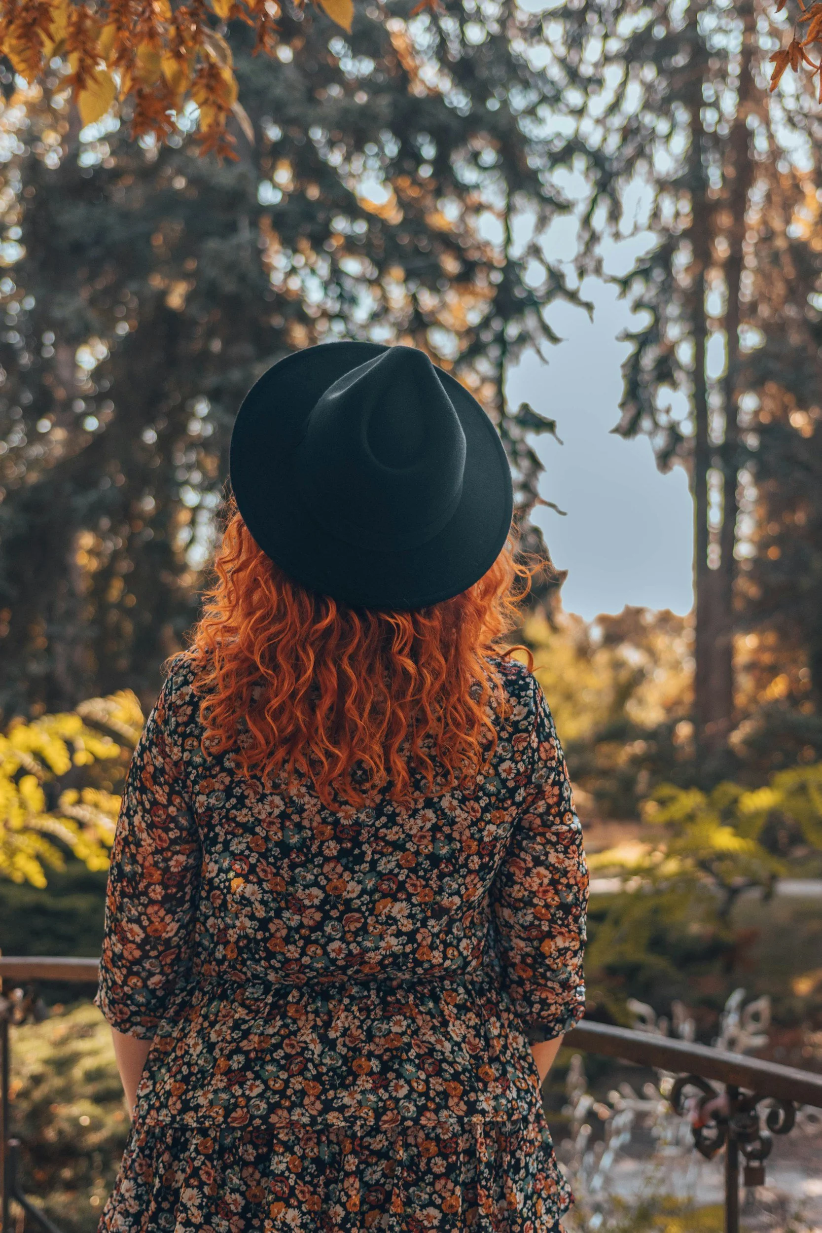 unsplash-image-u2mkKEPBOpw.jpg