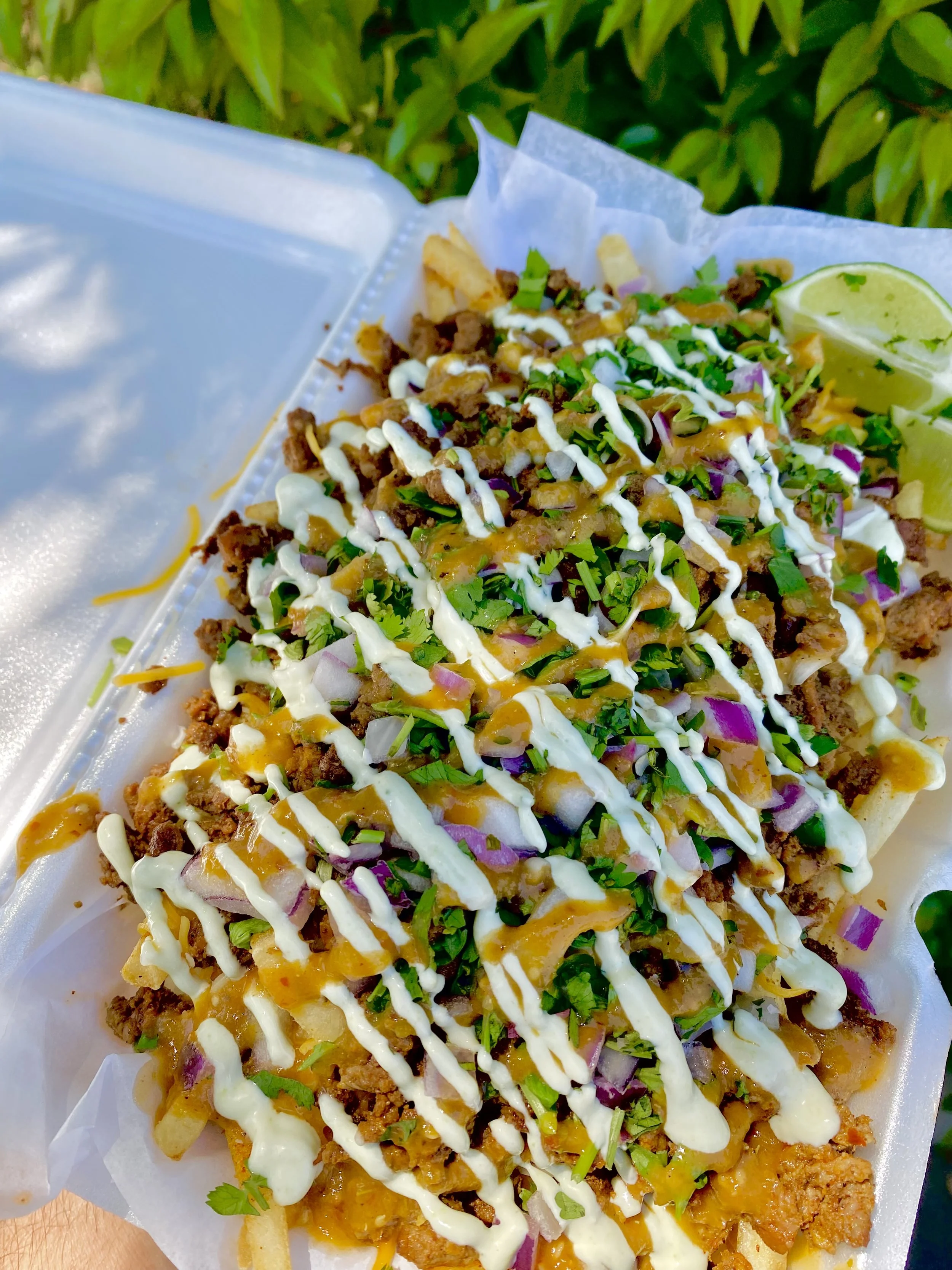 ASADA FRIES