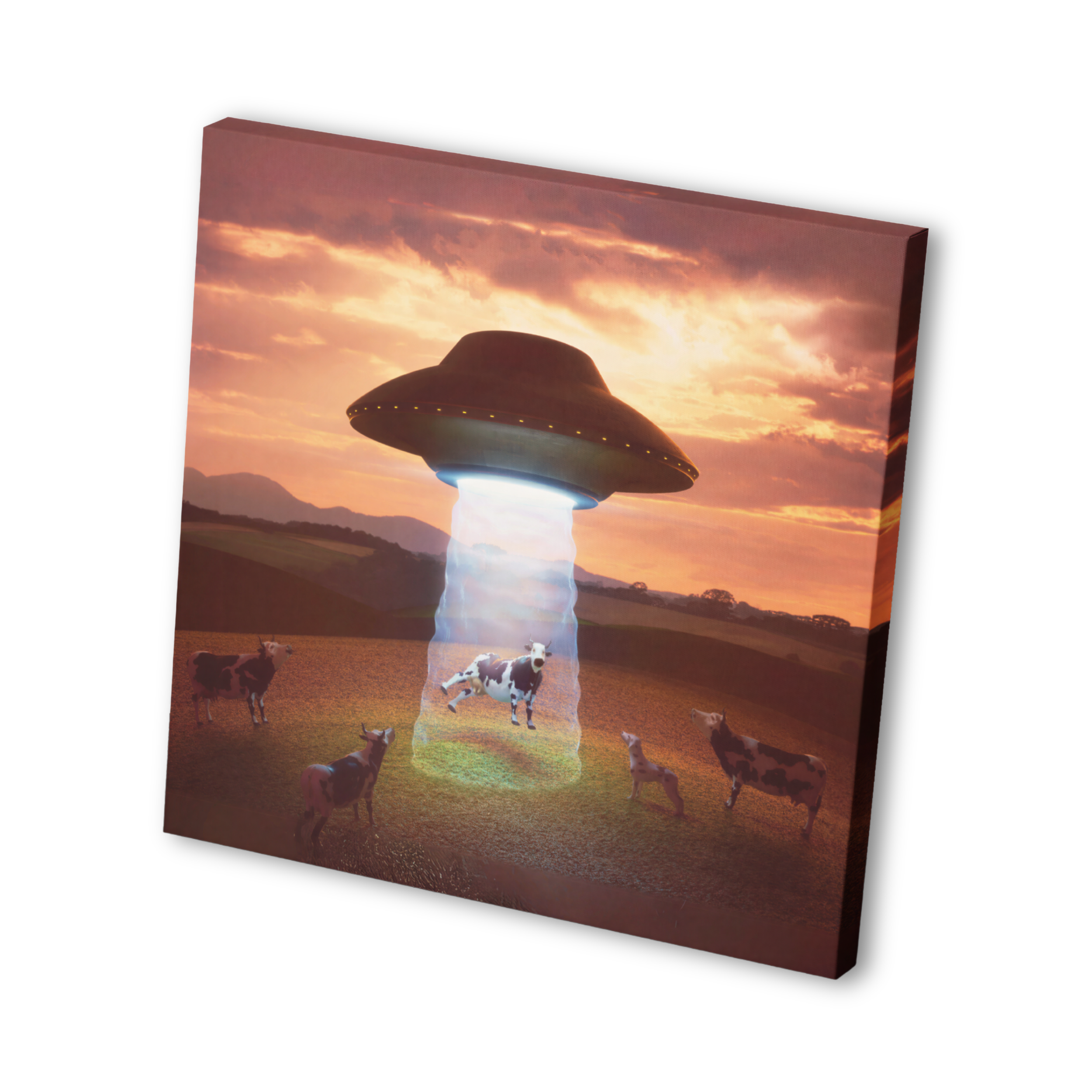 POSTERS & PRINTS