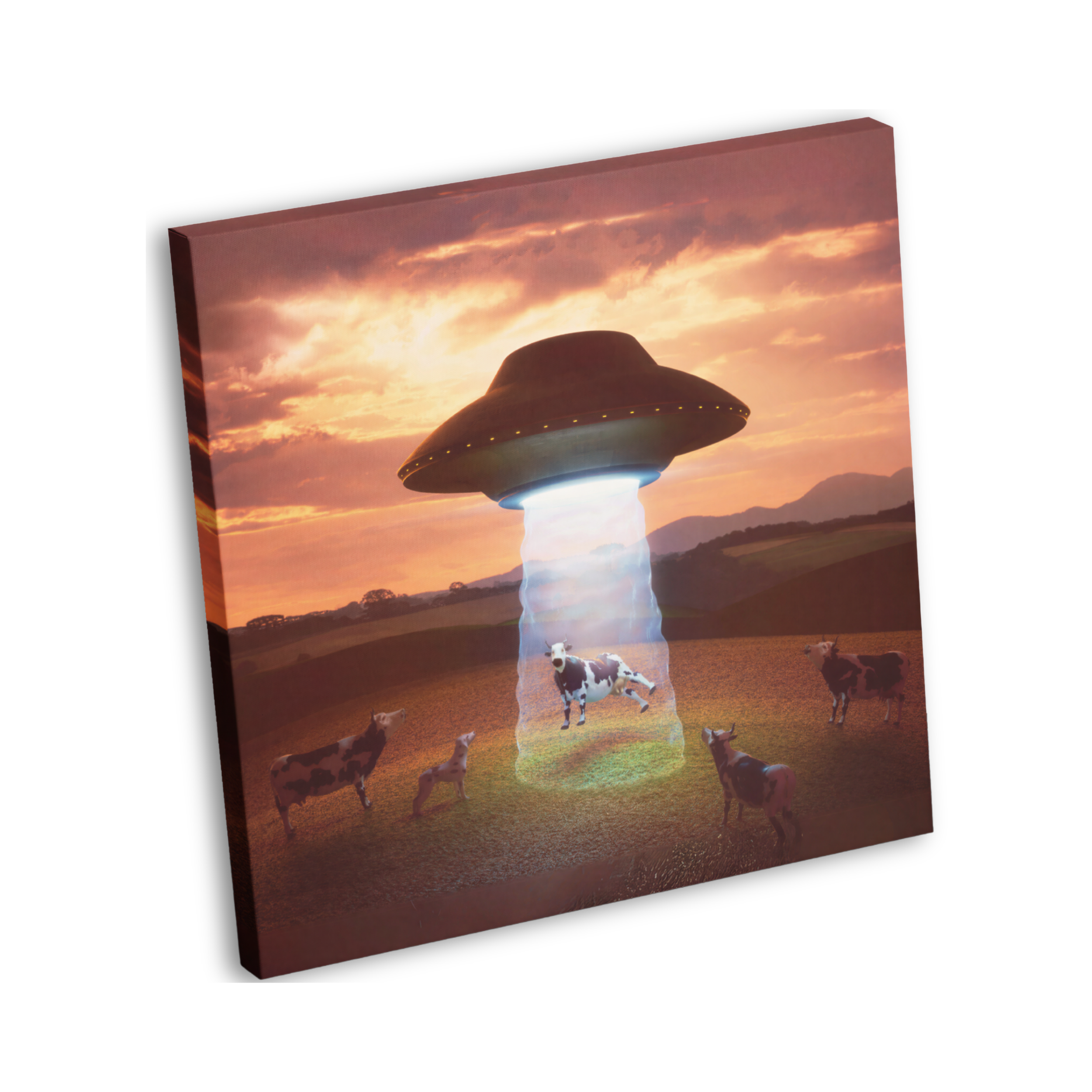 POSTERS & PRINTS