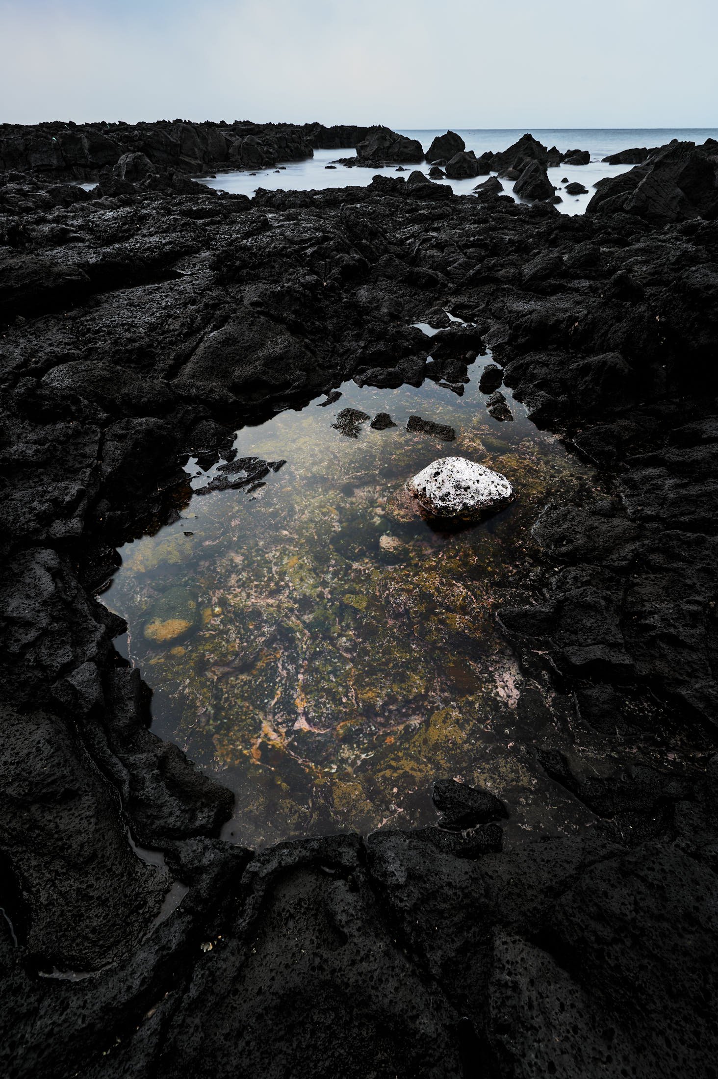 tide pool with salt covered stone in it on Jeju