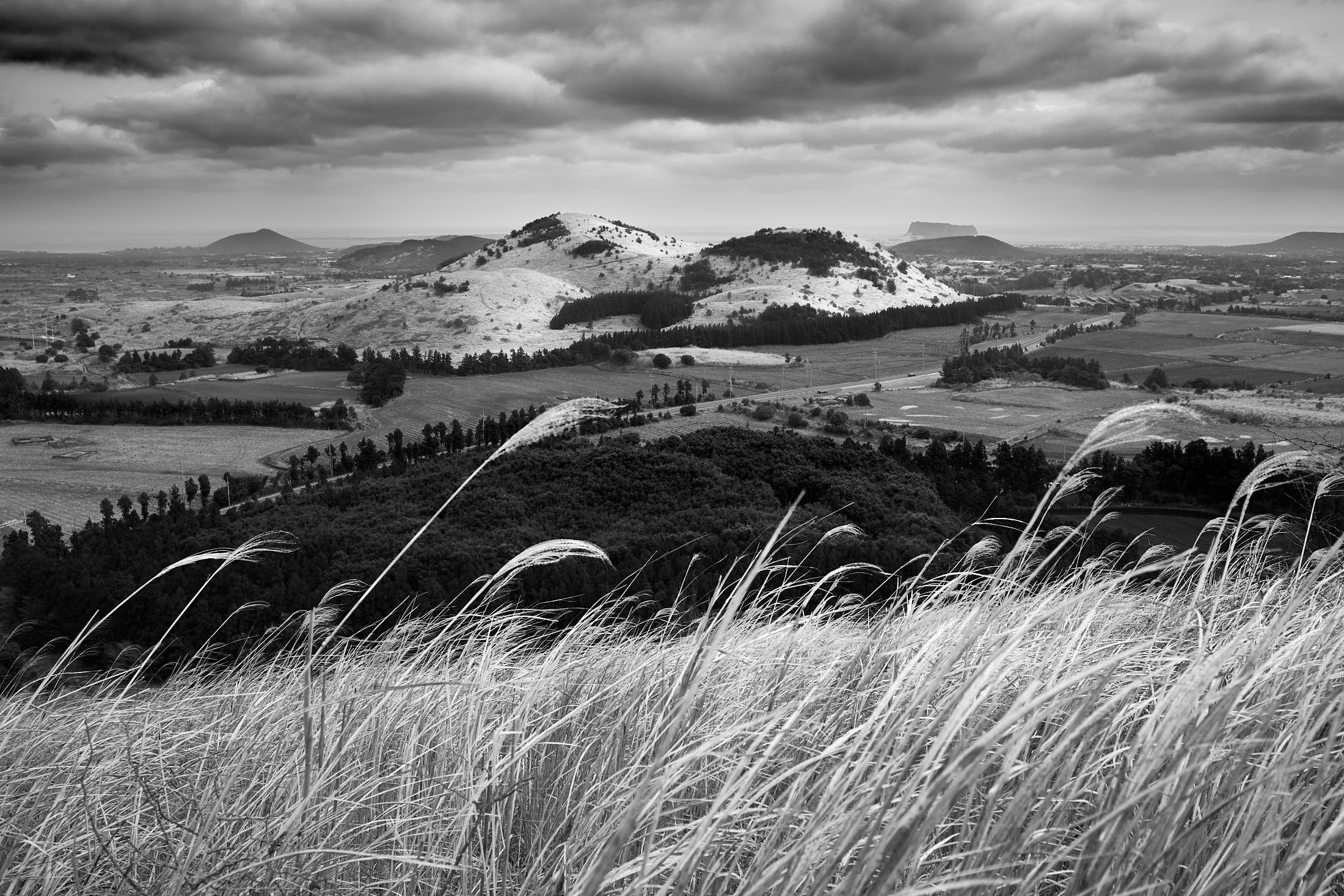 Yongnuni Oreum panorama from the reed slopes of Sonji Oreum black and white