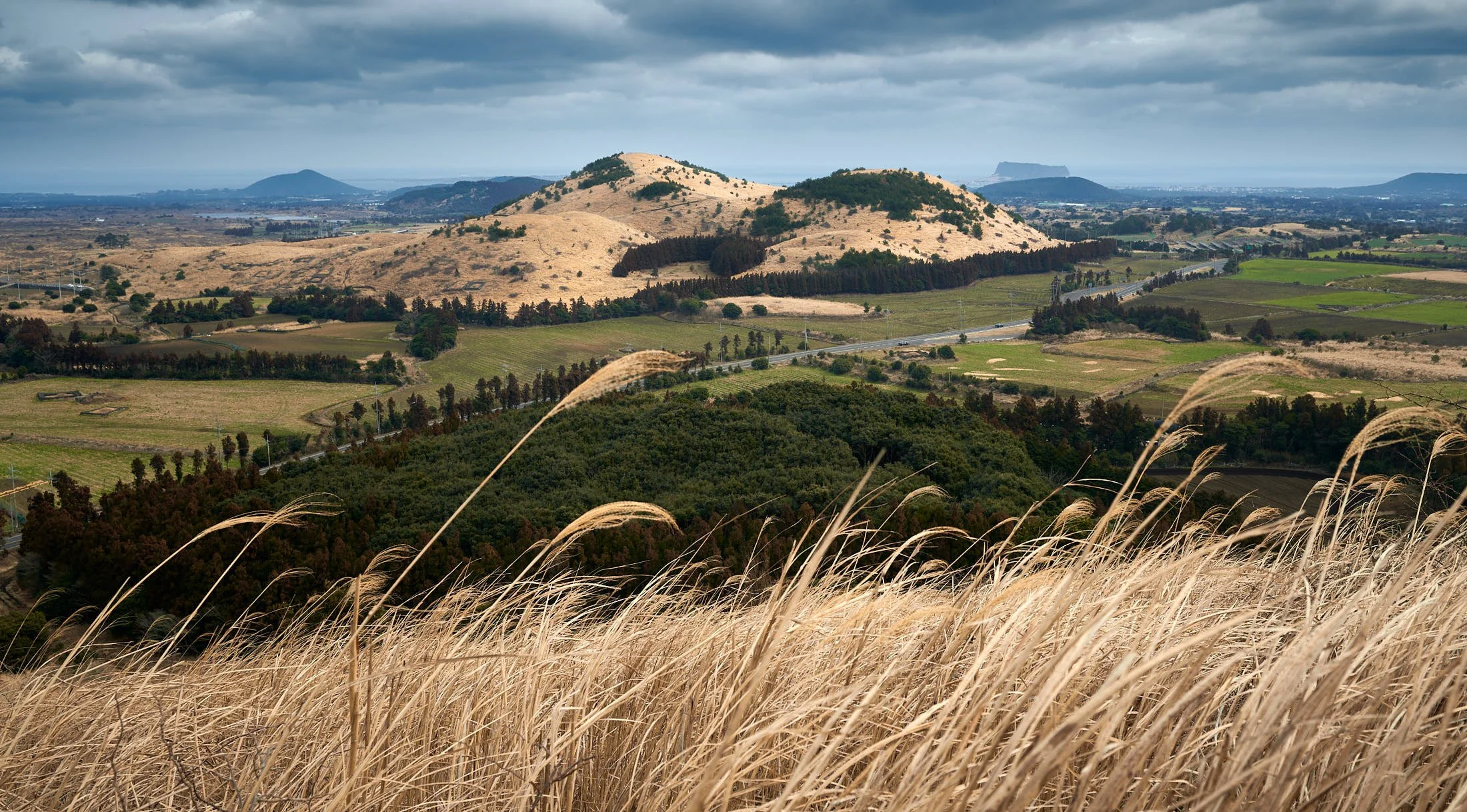 Yongnuni Oreum panorama from the reed slopes of Sonji Oreum