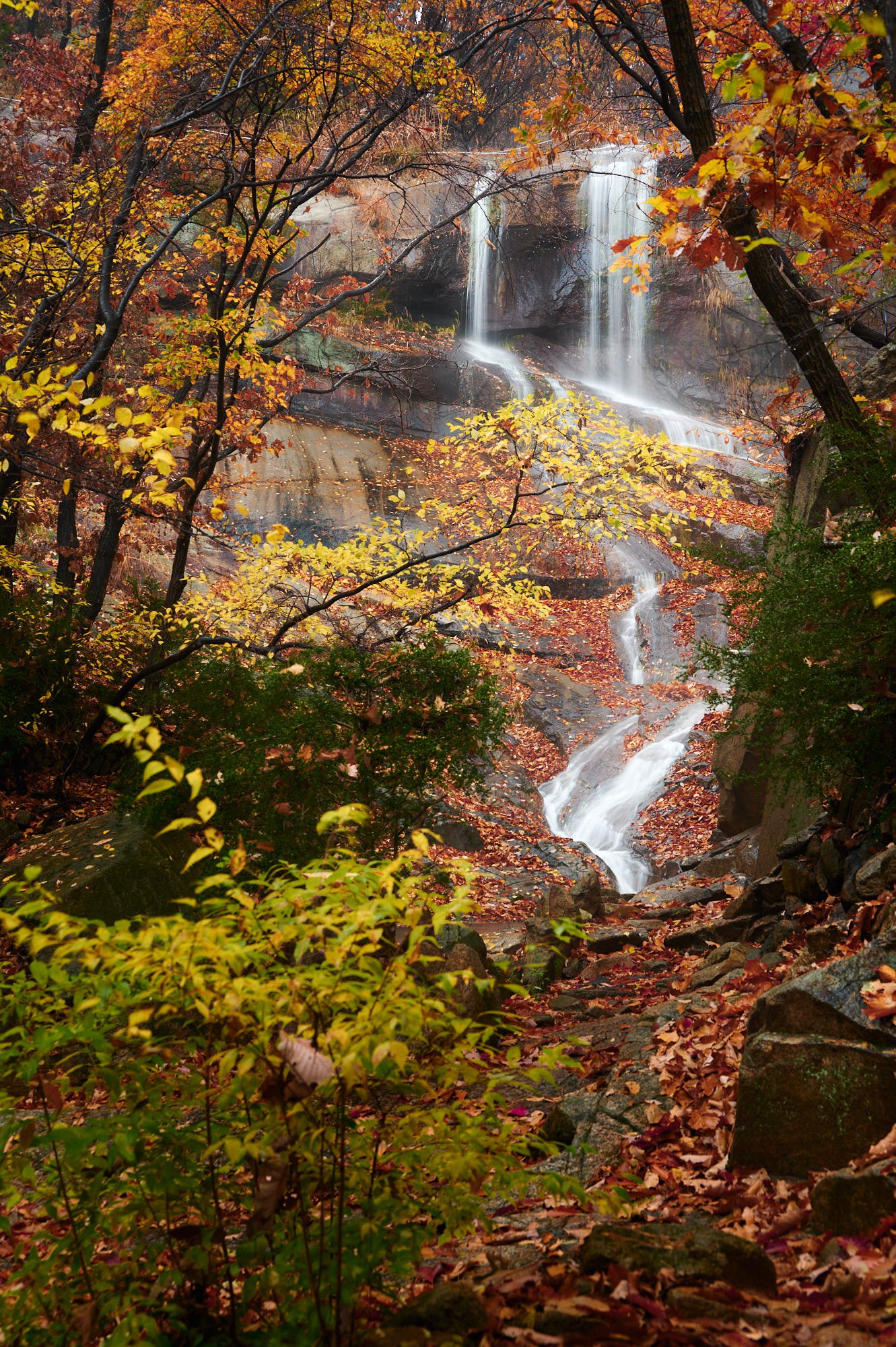 27 1 waterfall 3 seasons-04.jpg