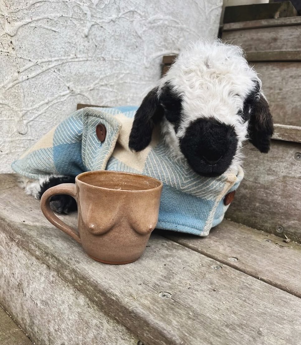 Good morning from Squiggles the Valais lamb in her wooly coat. Please remember I welcome any and all animal with boob mug photographic submissions 🫶🏼

Thanks for this one @thepickledbetween