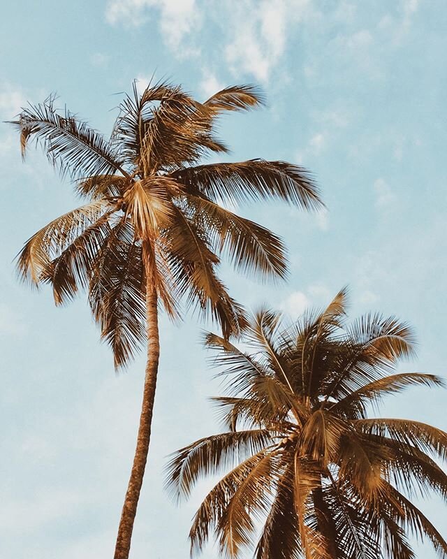 Let’s pretend we’re on the beach. Wait, who needs a beach if there’s 17 degrees in Luxembourg and the Mixbox is ready to be unboxed? Happy Apéro Time folks! ☀️🍹