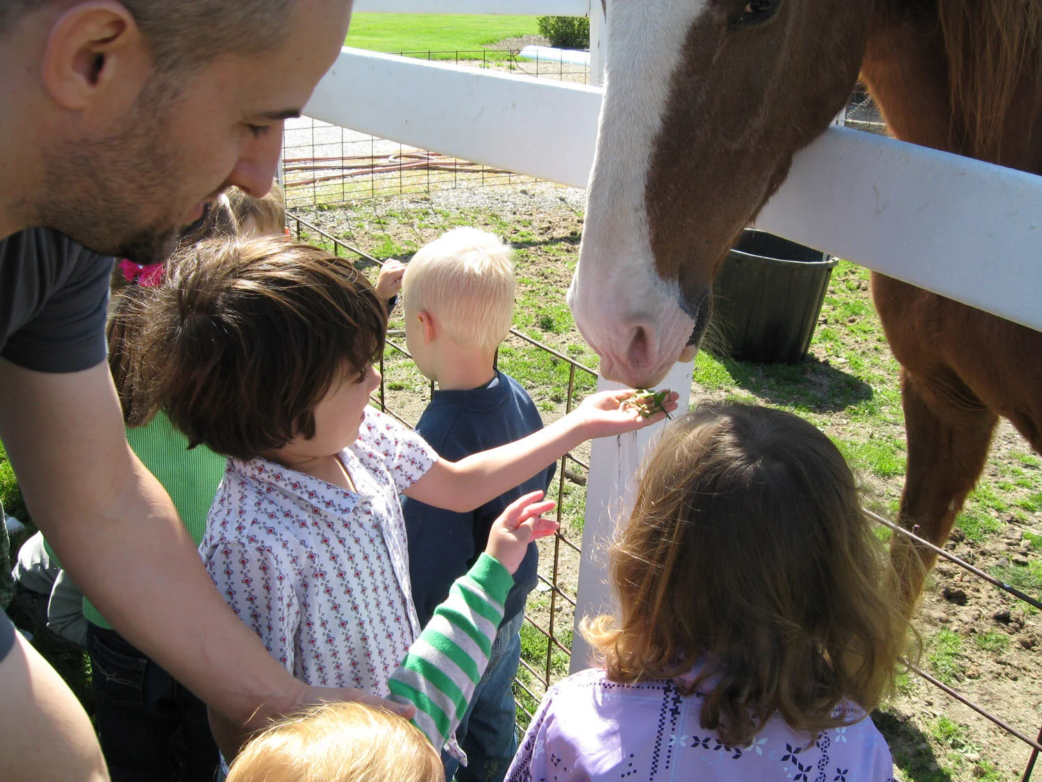 gingerbread-house-preschool-zionsville-field-trip-farm-9.jpg