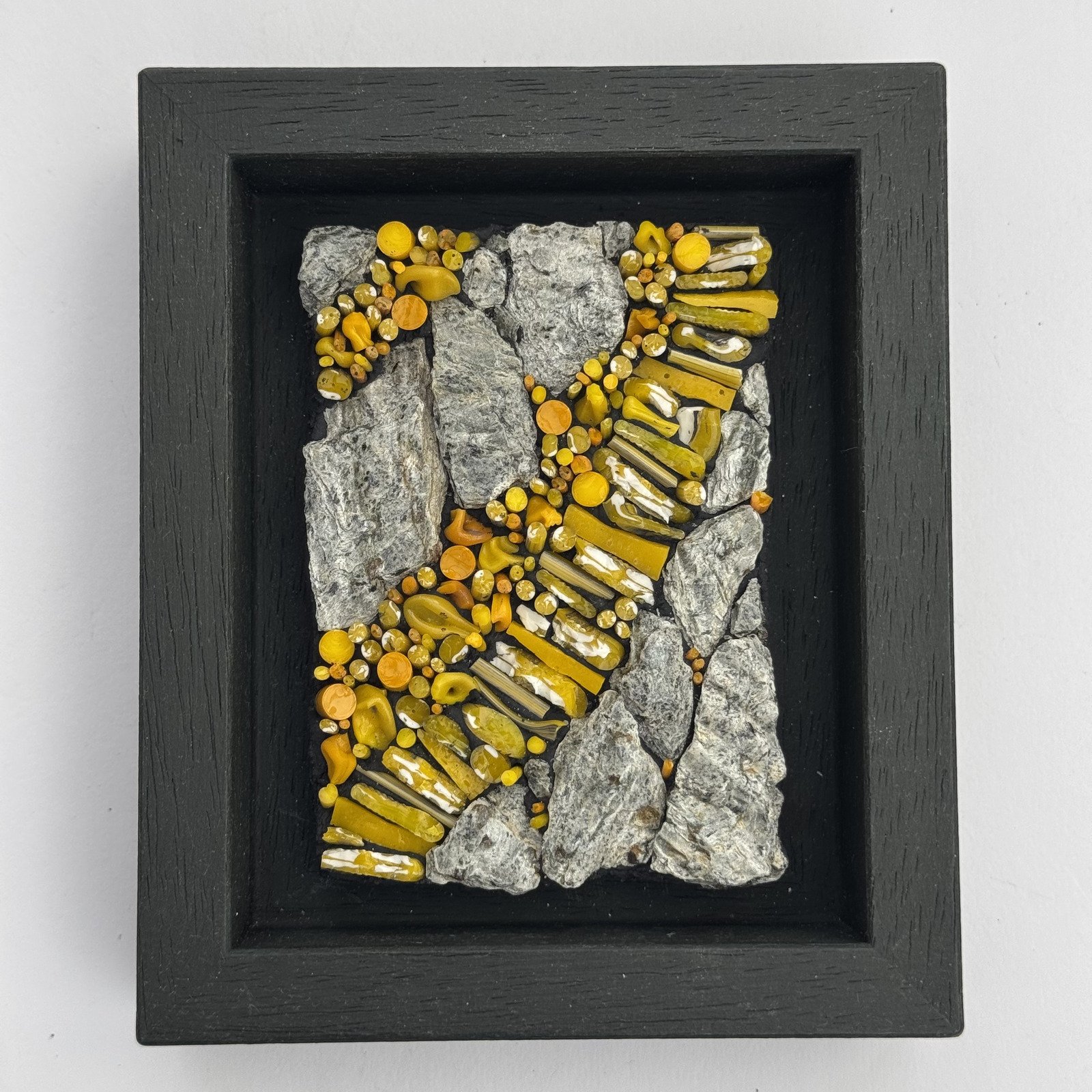 Lichen Collection: Study 9