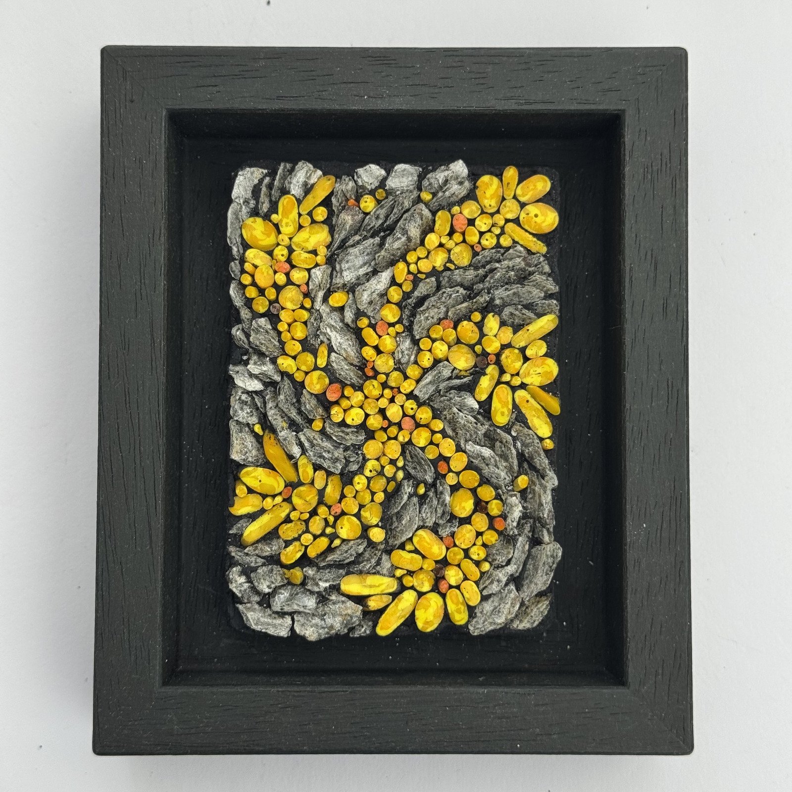 Lichen Collection: Study 11