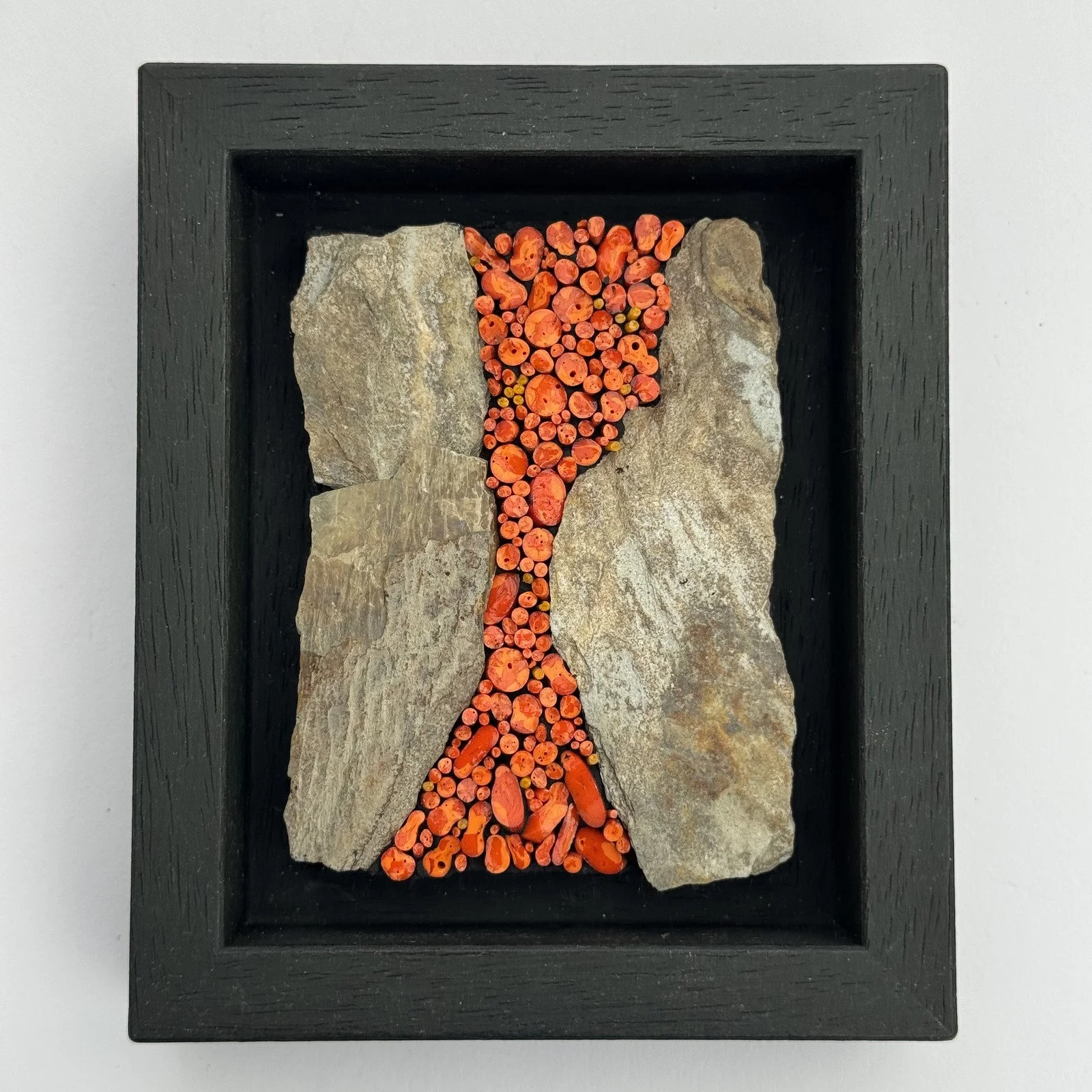 Lichen Collection: Study 5