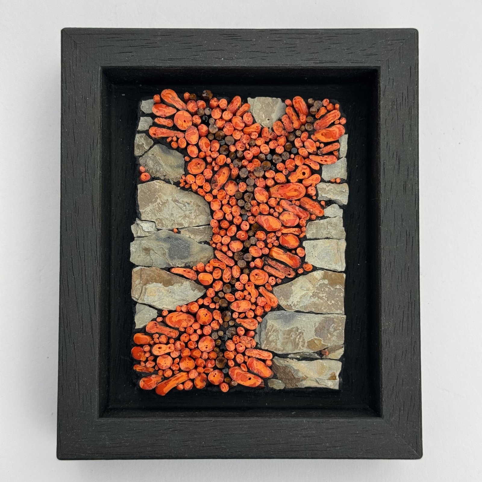 Lichen Collection: Study 6