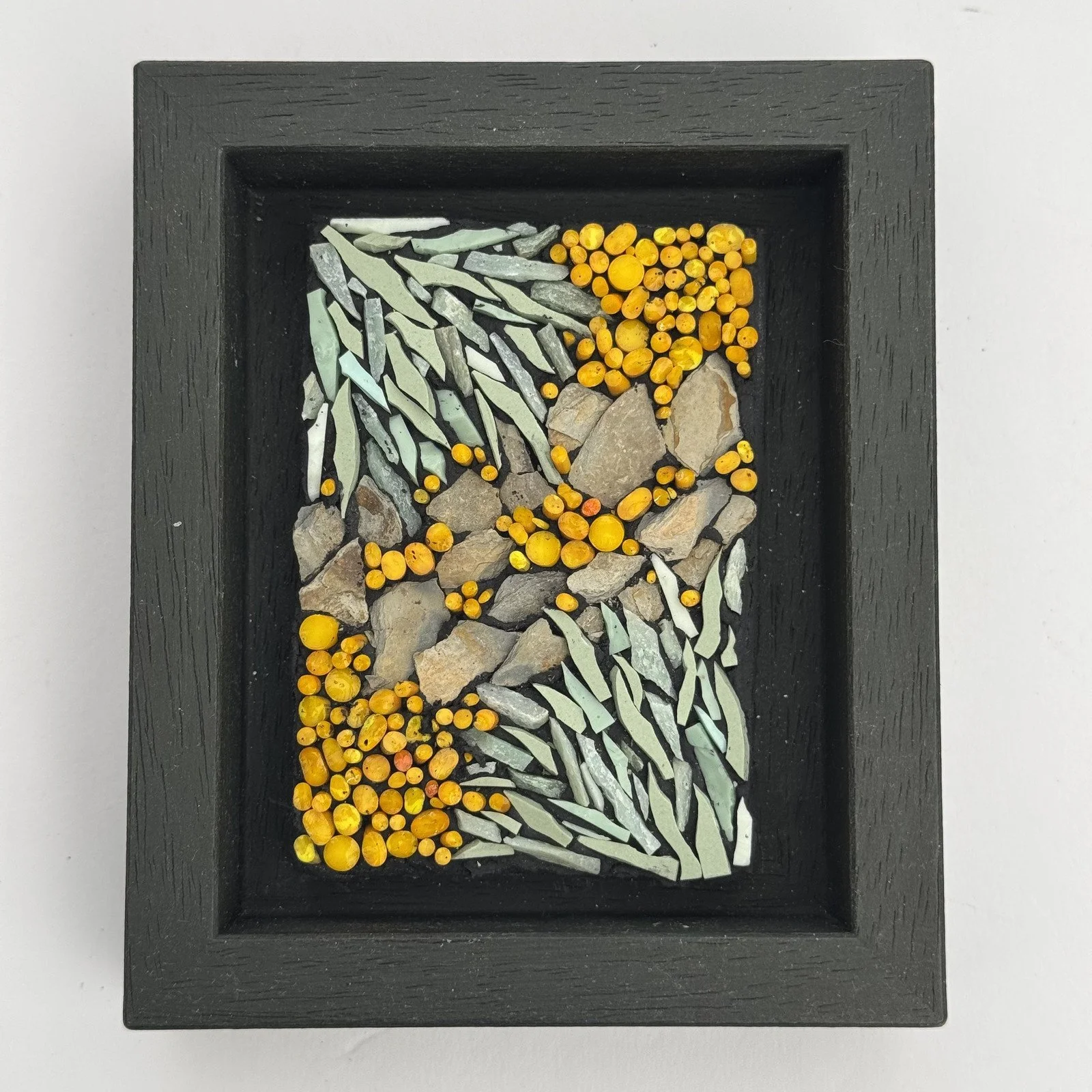 Lichen Collection: Study 12