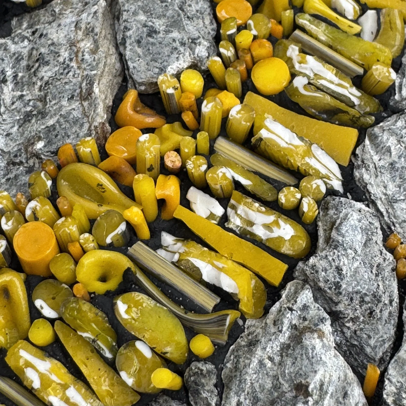 study 9 detail.jpg