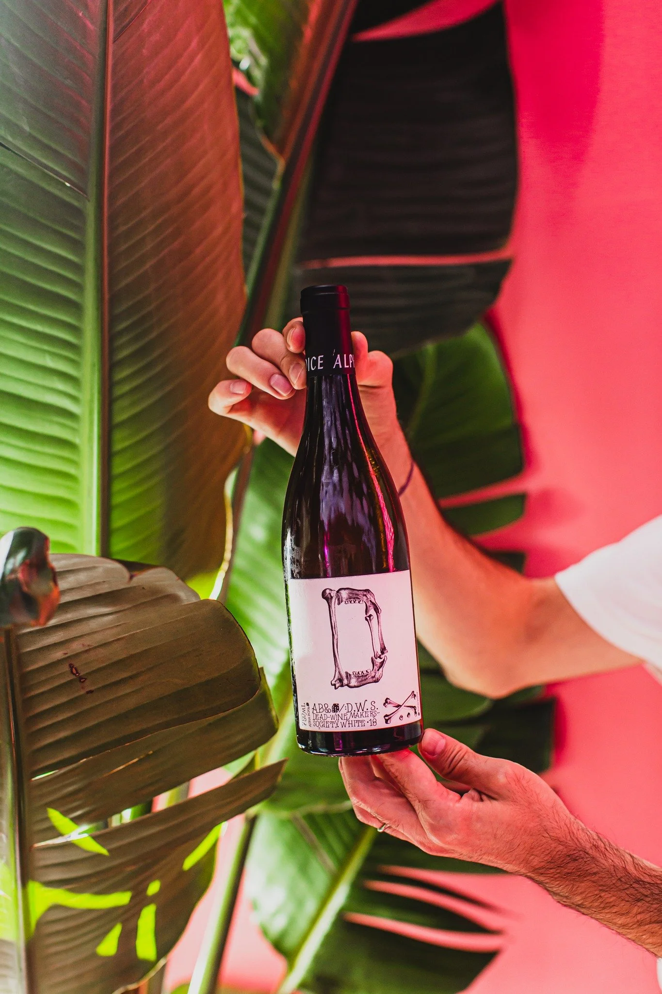 Uncork a wild night. Discover the perfect pour to match your vibe.

Book your table now: sevenrooms.com/explore/pingpong/reservations

#newstead #brisbanefood #brisbaneeats #pingpongnewstead #asianfood #foodlover #foodie #restaurant #localfood #eatlo