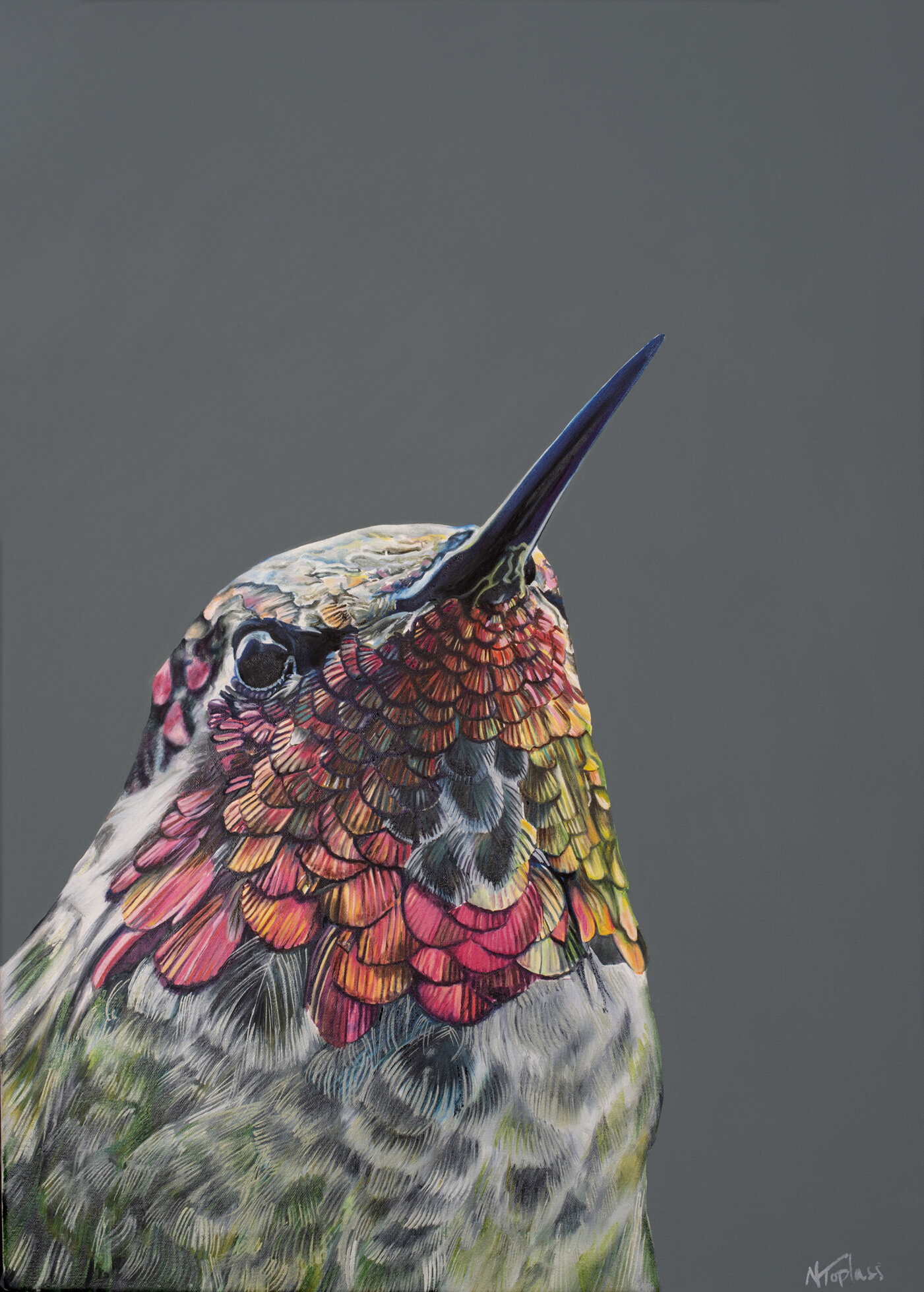 hummingbirdv large.jpg