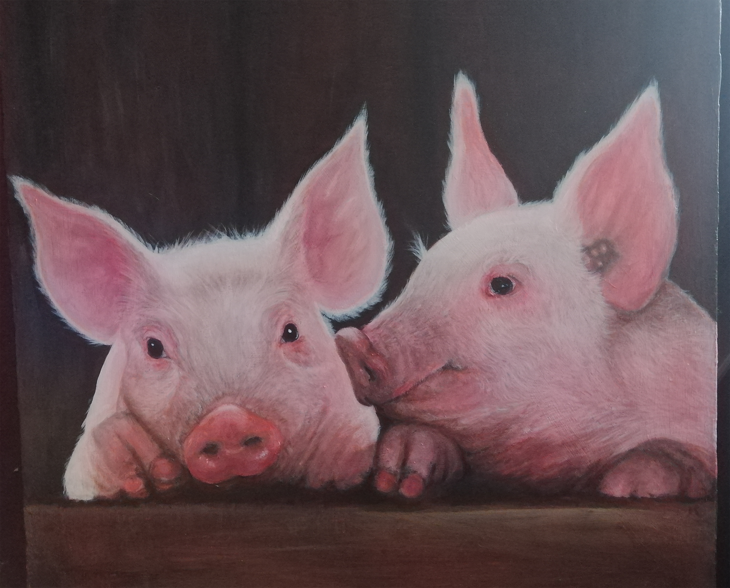 cudlipp_catherina_Piggy Pair A Tale of Two Curious Pigs_acrylic_50x50.png