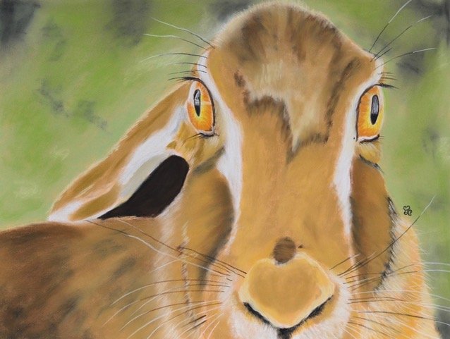 Chabeaux Jules Ancient Hare Wisdom soft pastel 40 x 30cm.jpeg