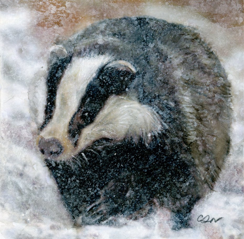 Neill Caroline Badger in Snow Watercolour A4.jpg