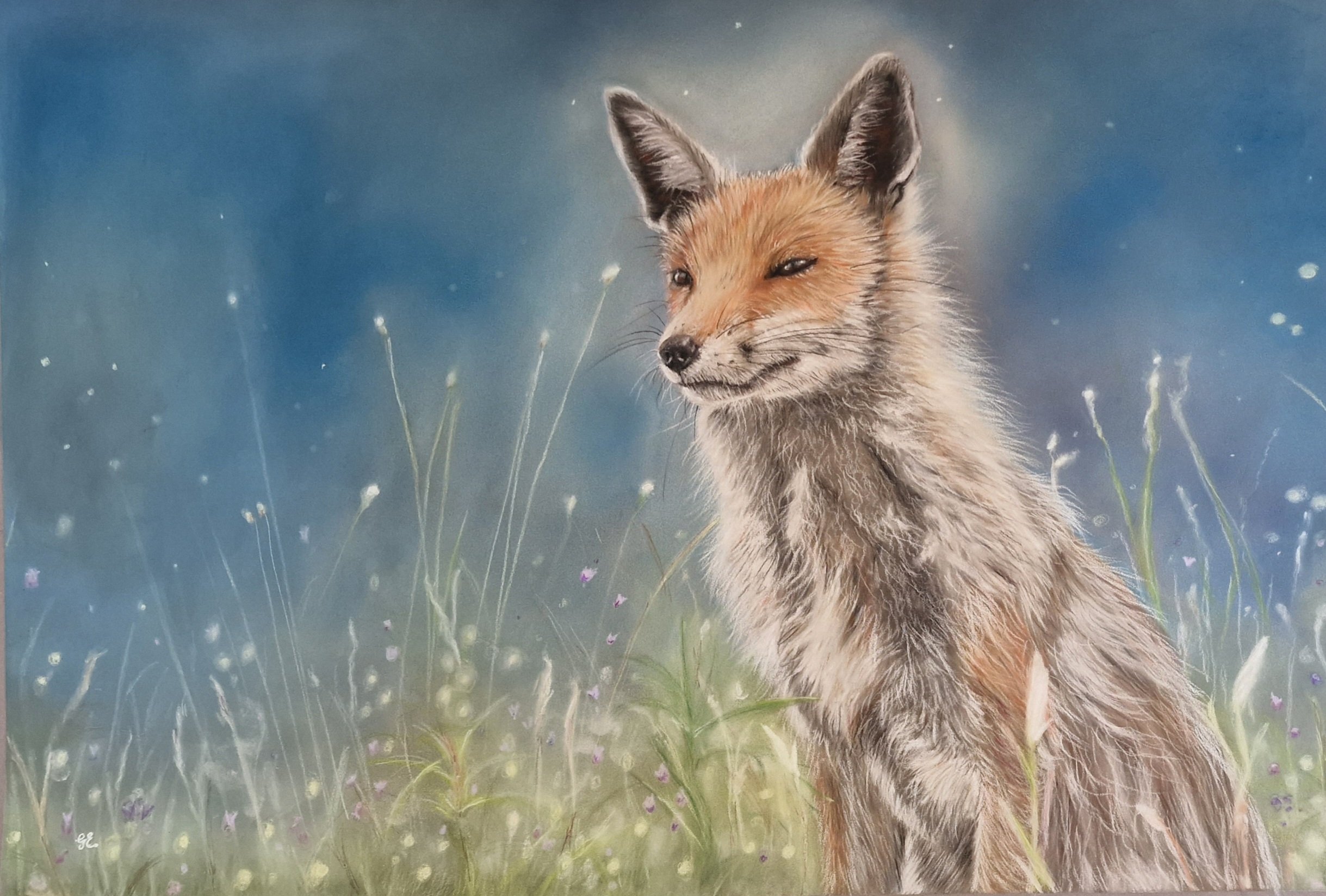 Spring Fox.jpg