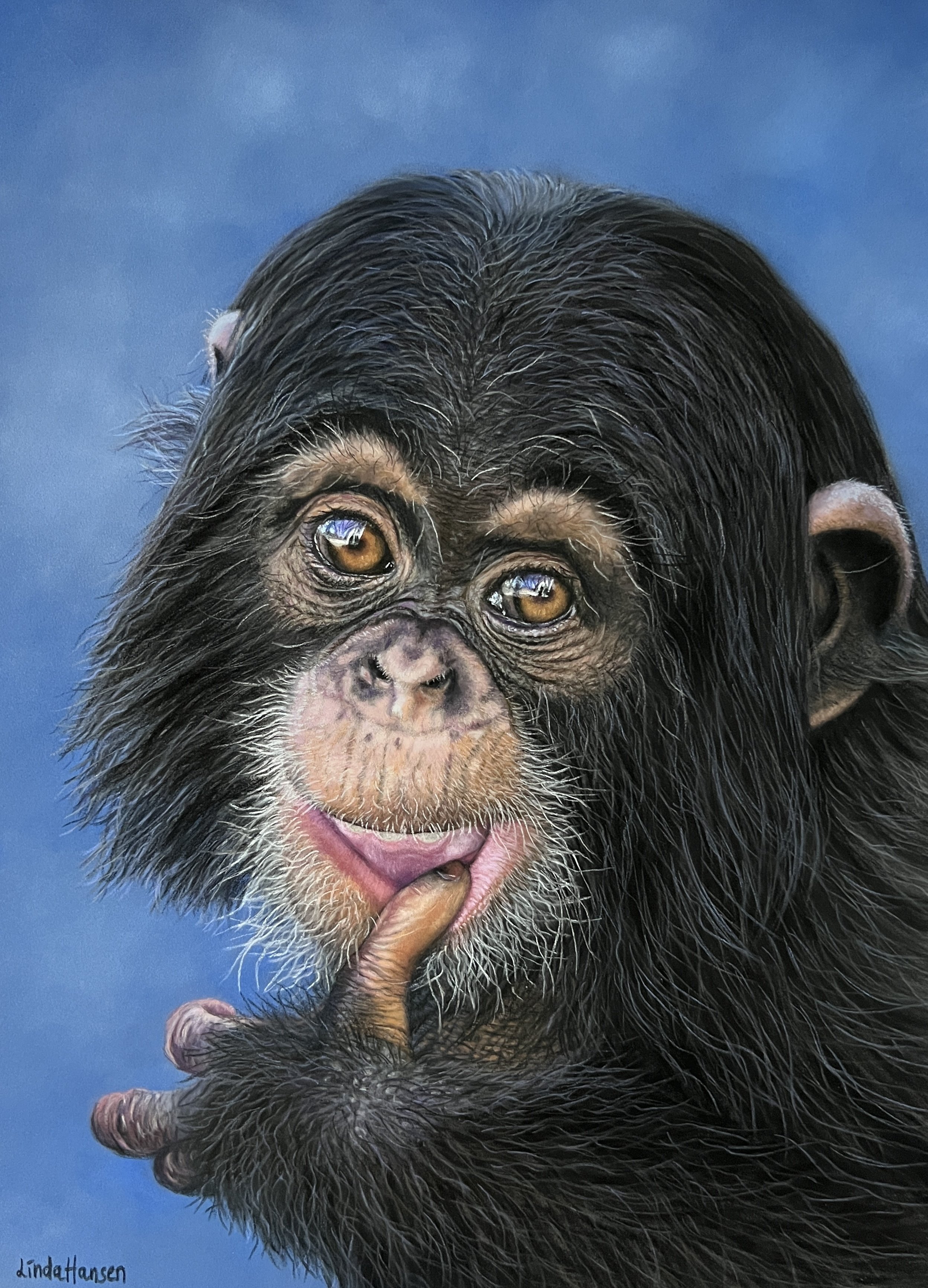 Hansen_Linda_baby chimpanzee_pastel_30x40cm.jpg