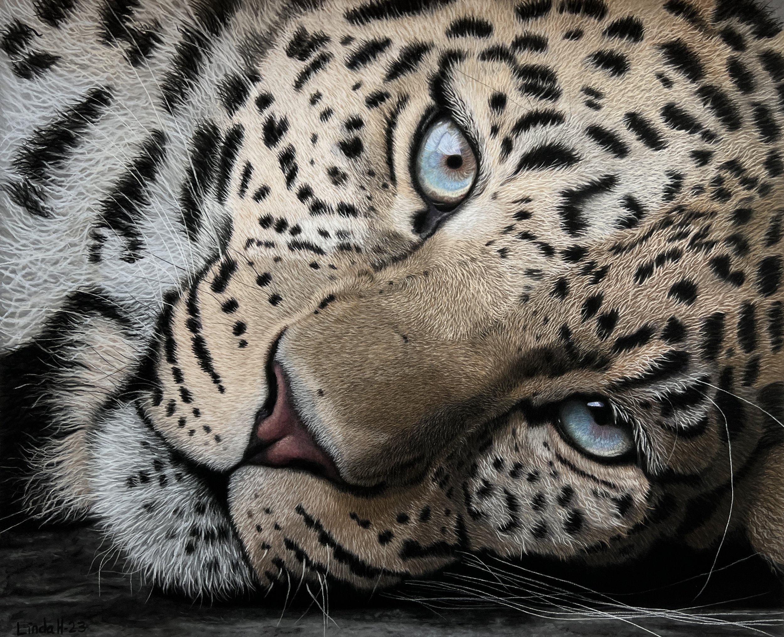 Hansen_Linda_Eye contact with leopard_pastel_ 40x50cm.jpg