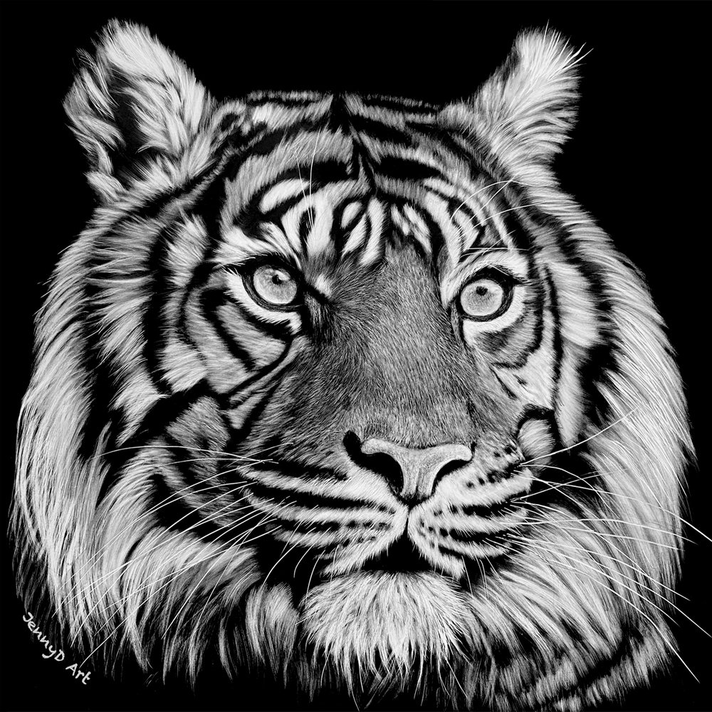 Dalleywater - Jenny - The Mighty One - Scratchboard - 8 x 8%22 .jpg