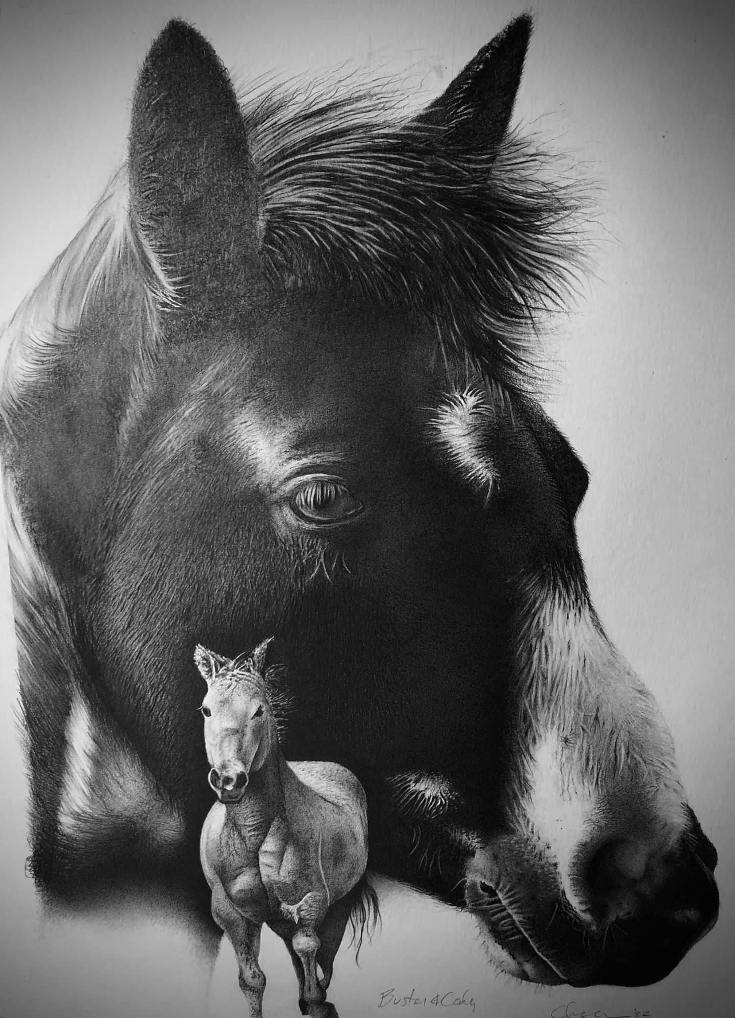 Biography Robert Chapman — Association Of Animal Artists