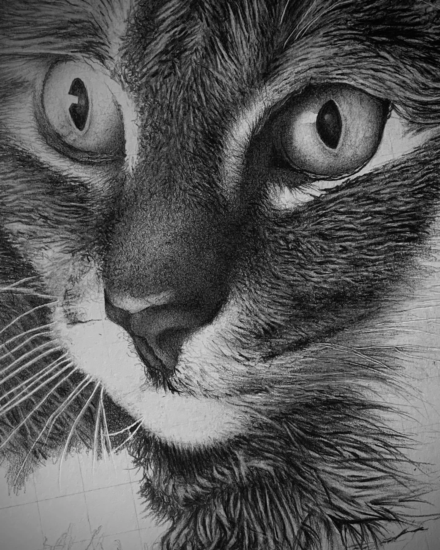 Biography Robert Chapman — Association Of Animal Artists