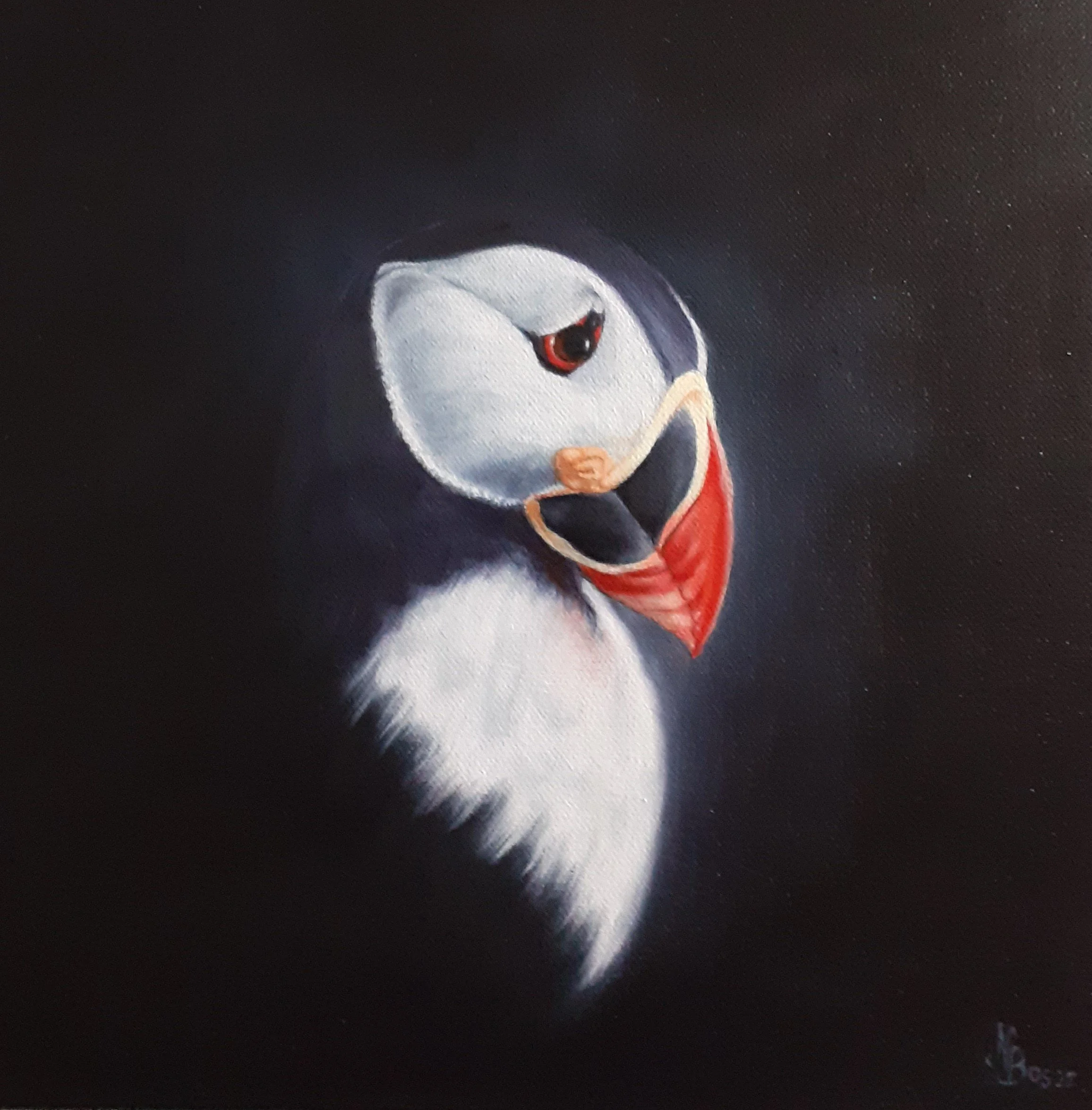 Bos Nathalie, Puffin, oil,30x30cm.jpg