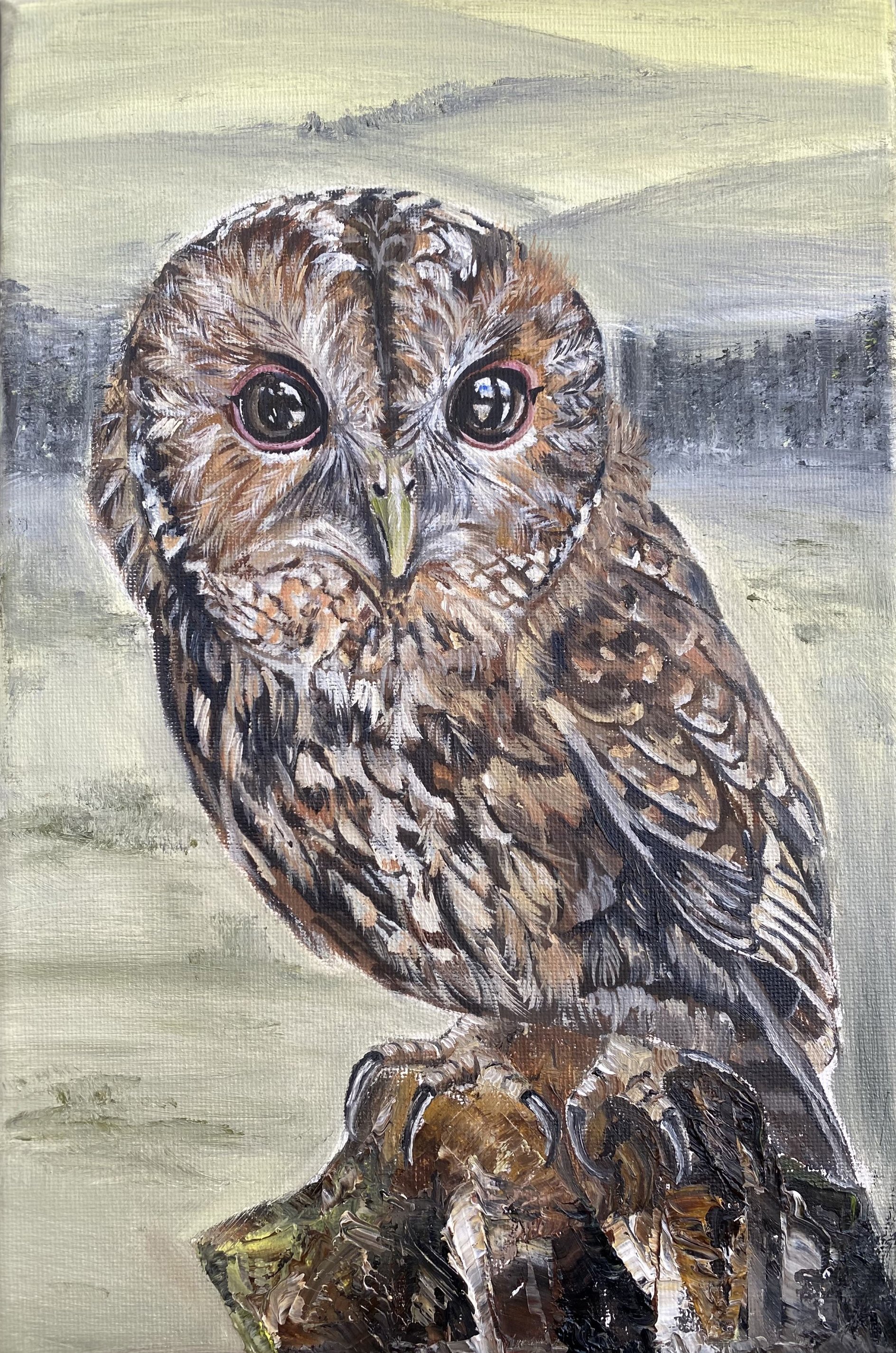 Owl Oil.jpg