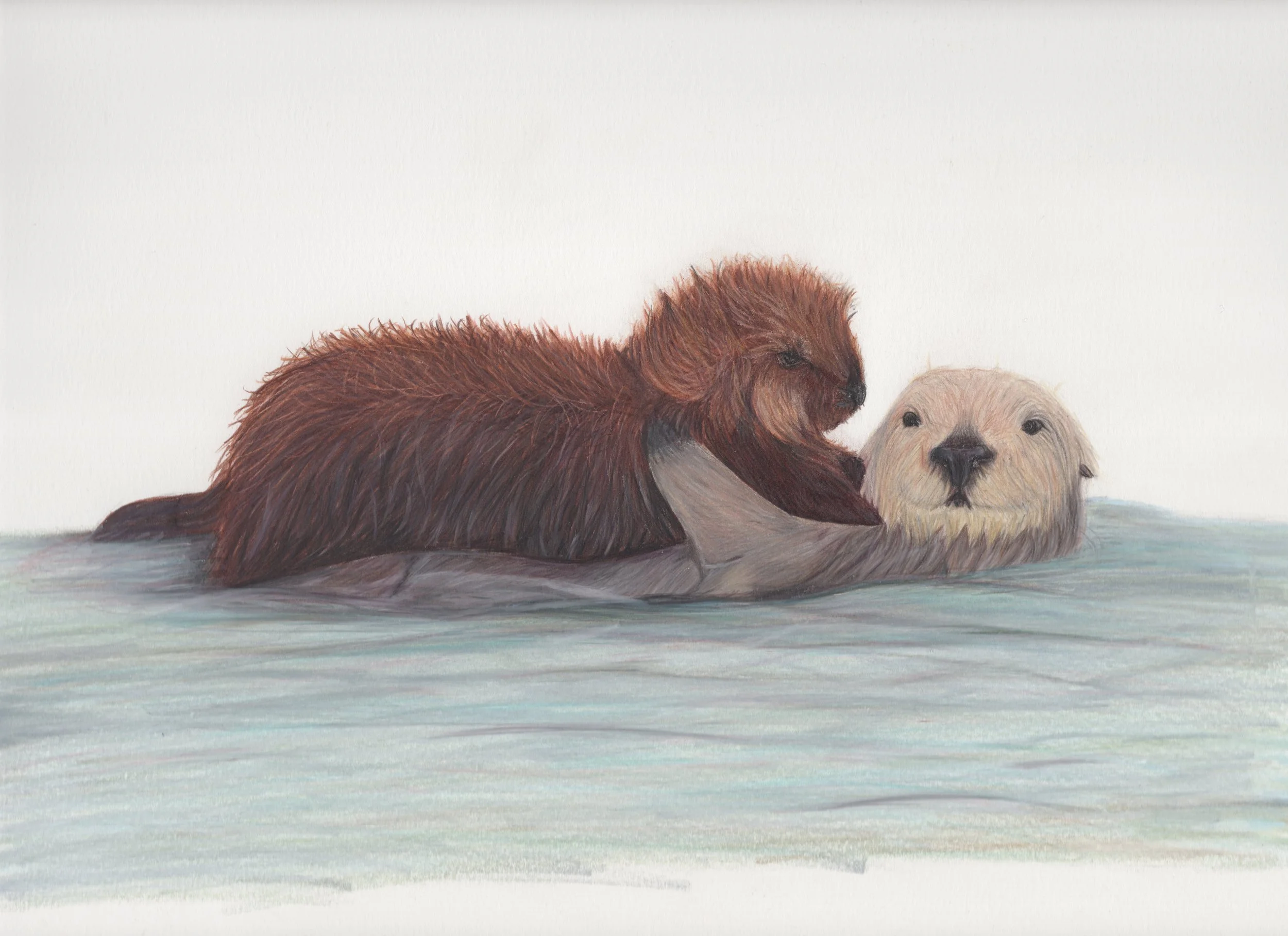 Can't Have a Bath in Peace