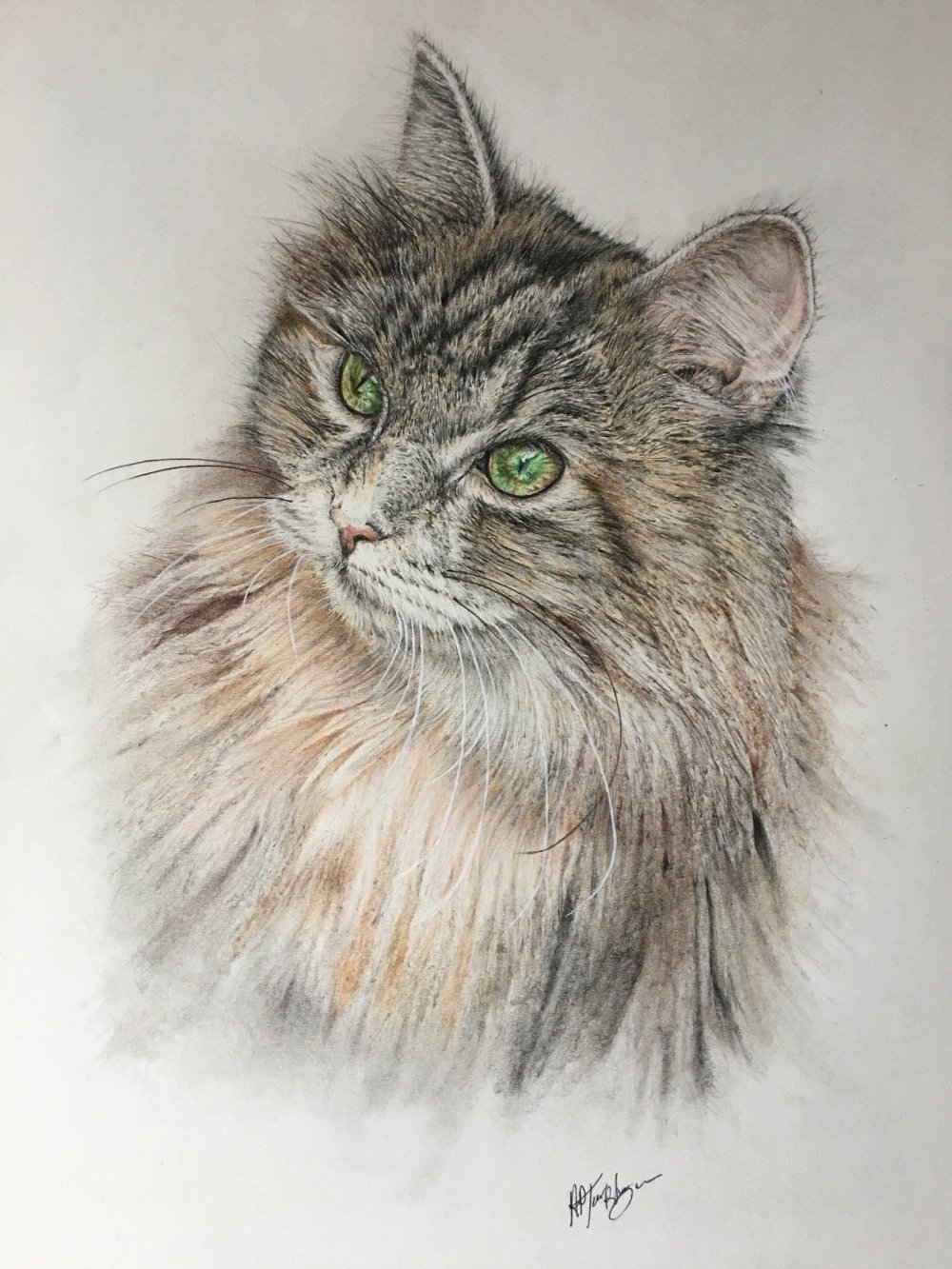 The Sparkle in my Eyes