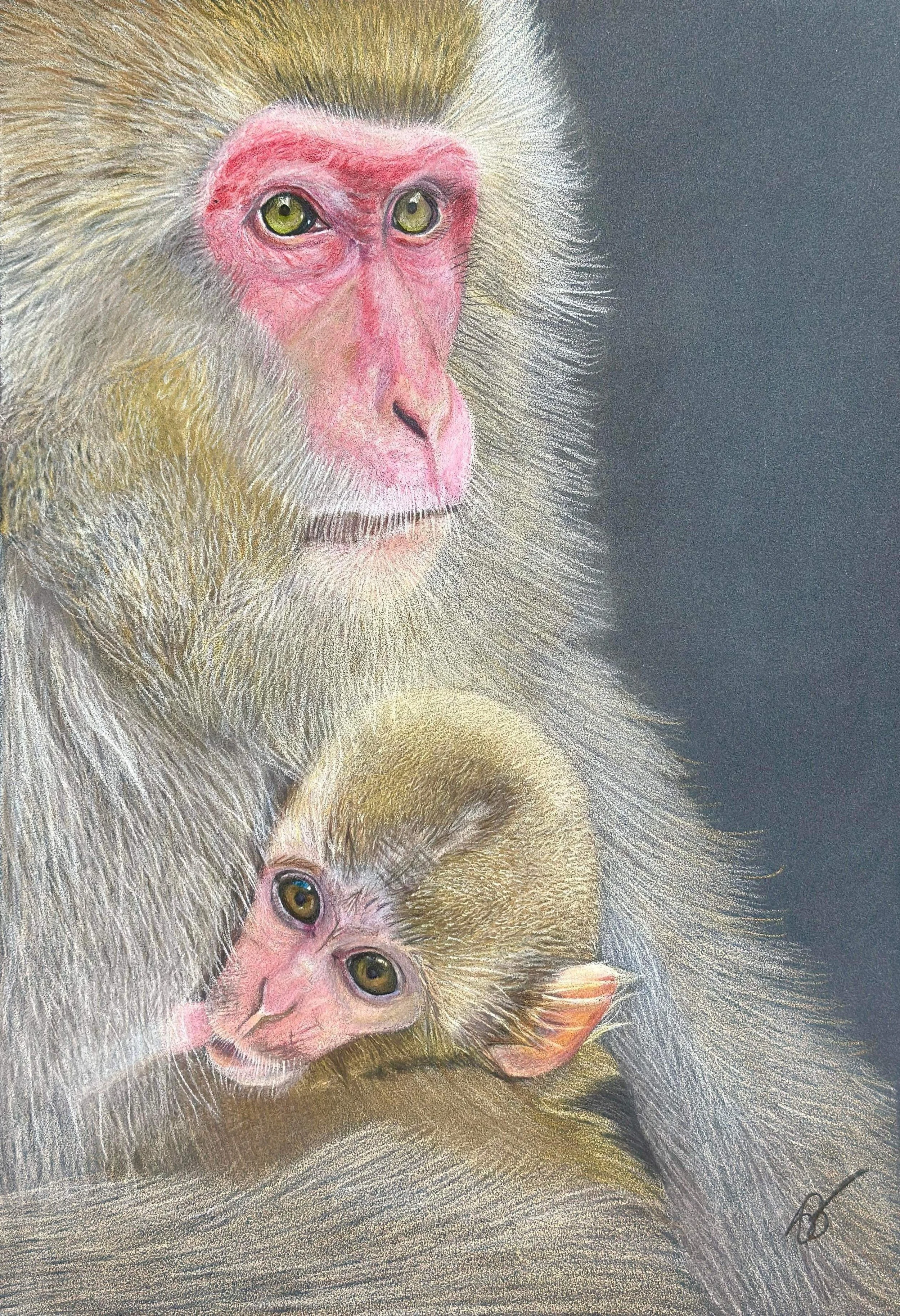 Mother and Baby Macaque