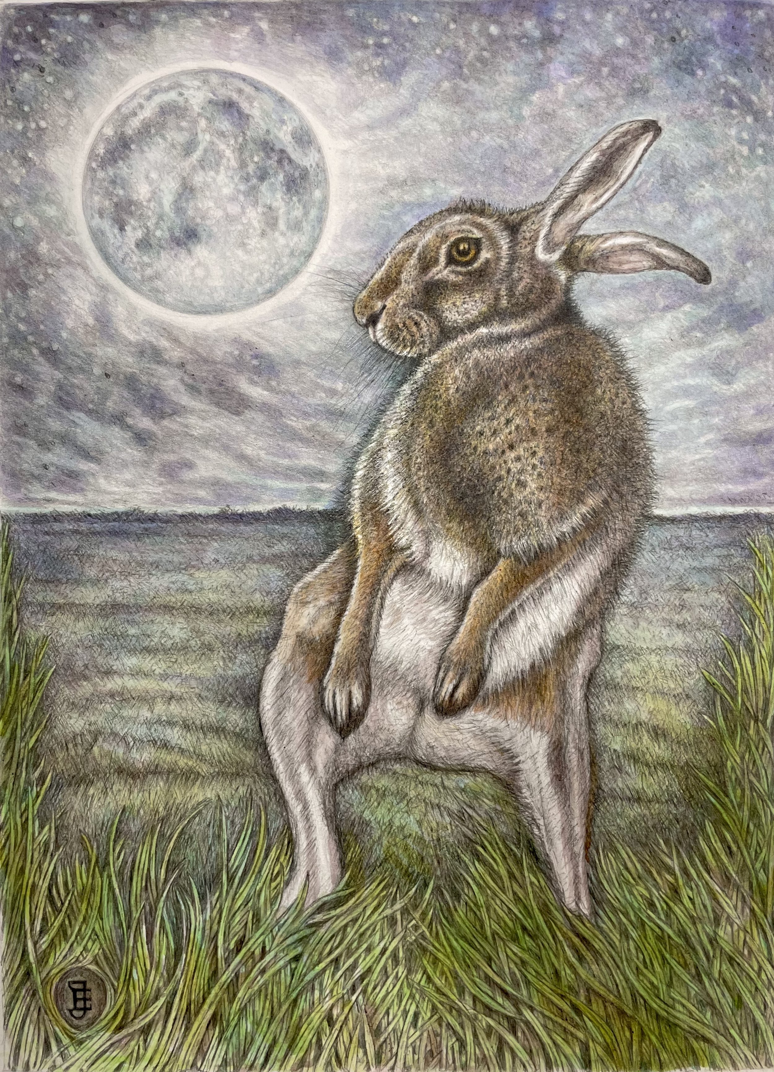 Moon Dancing Hare