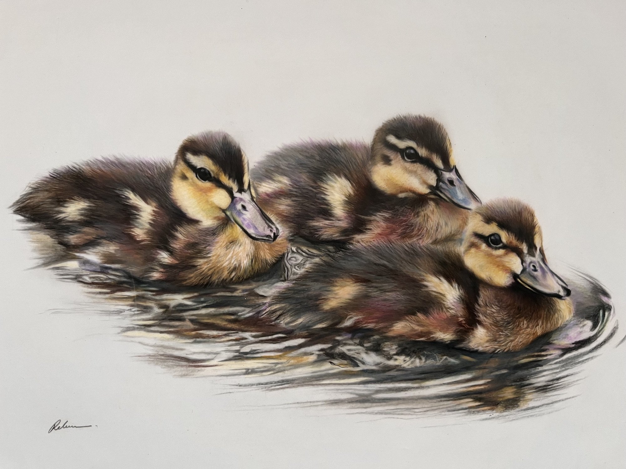Three Little Ducklings