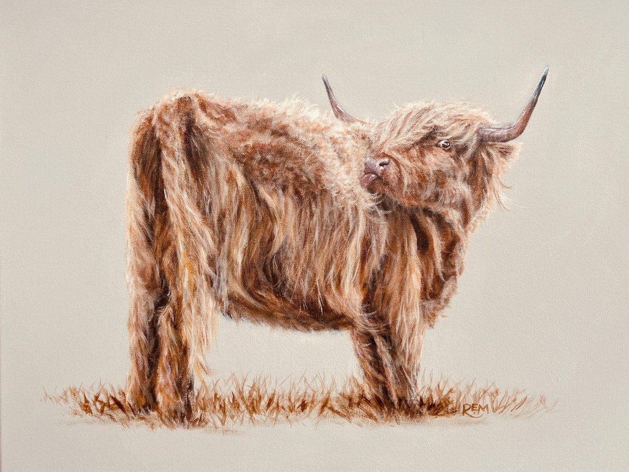 Cow Lick
