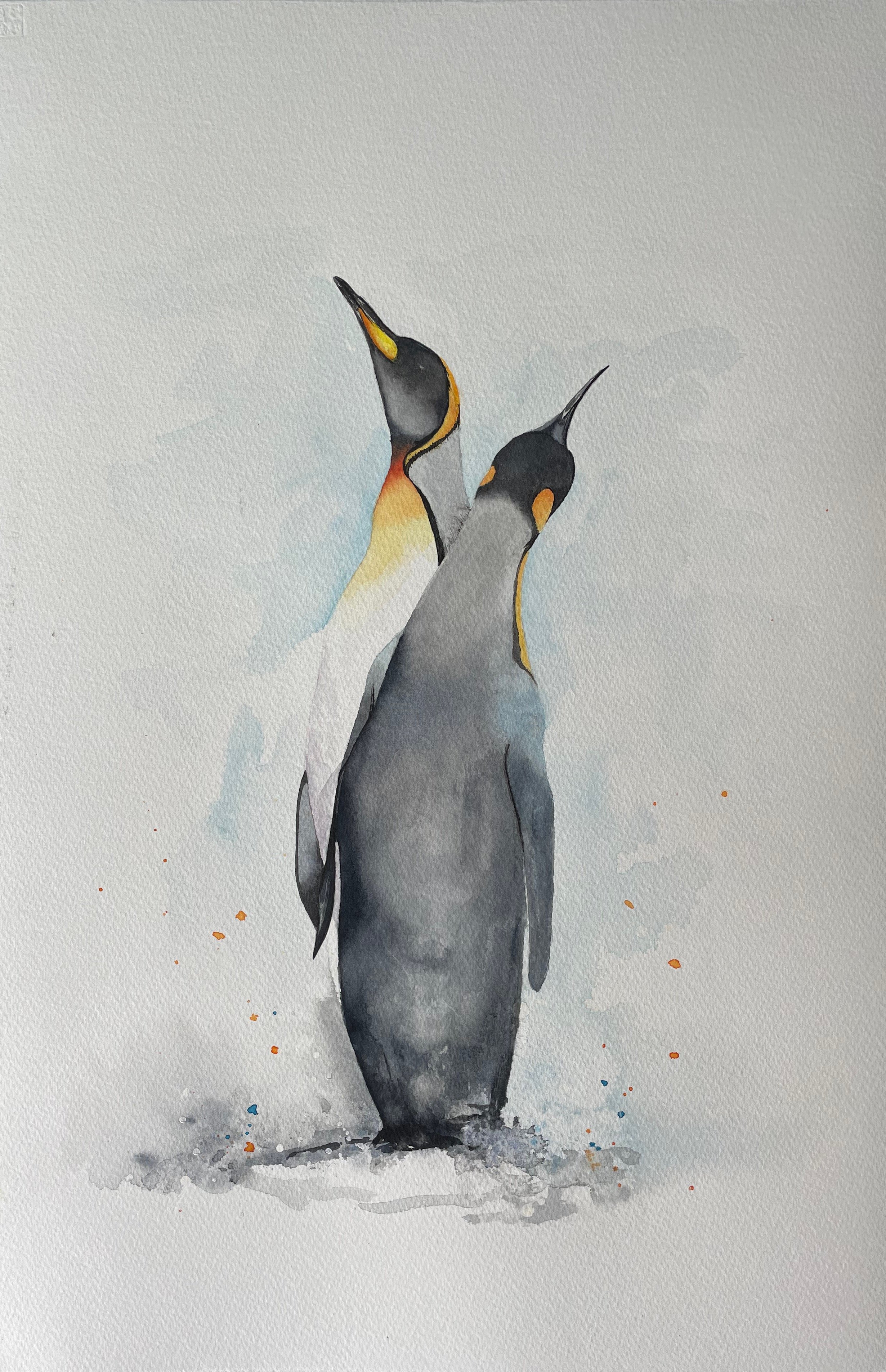 Penguin Pair