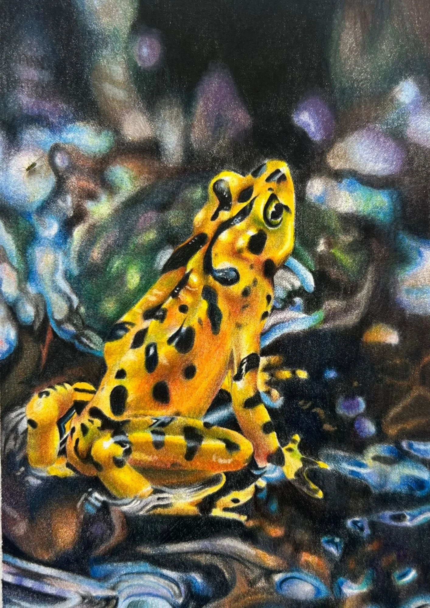 Jewel Of The Jungle