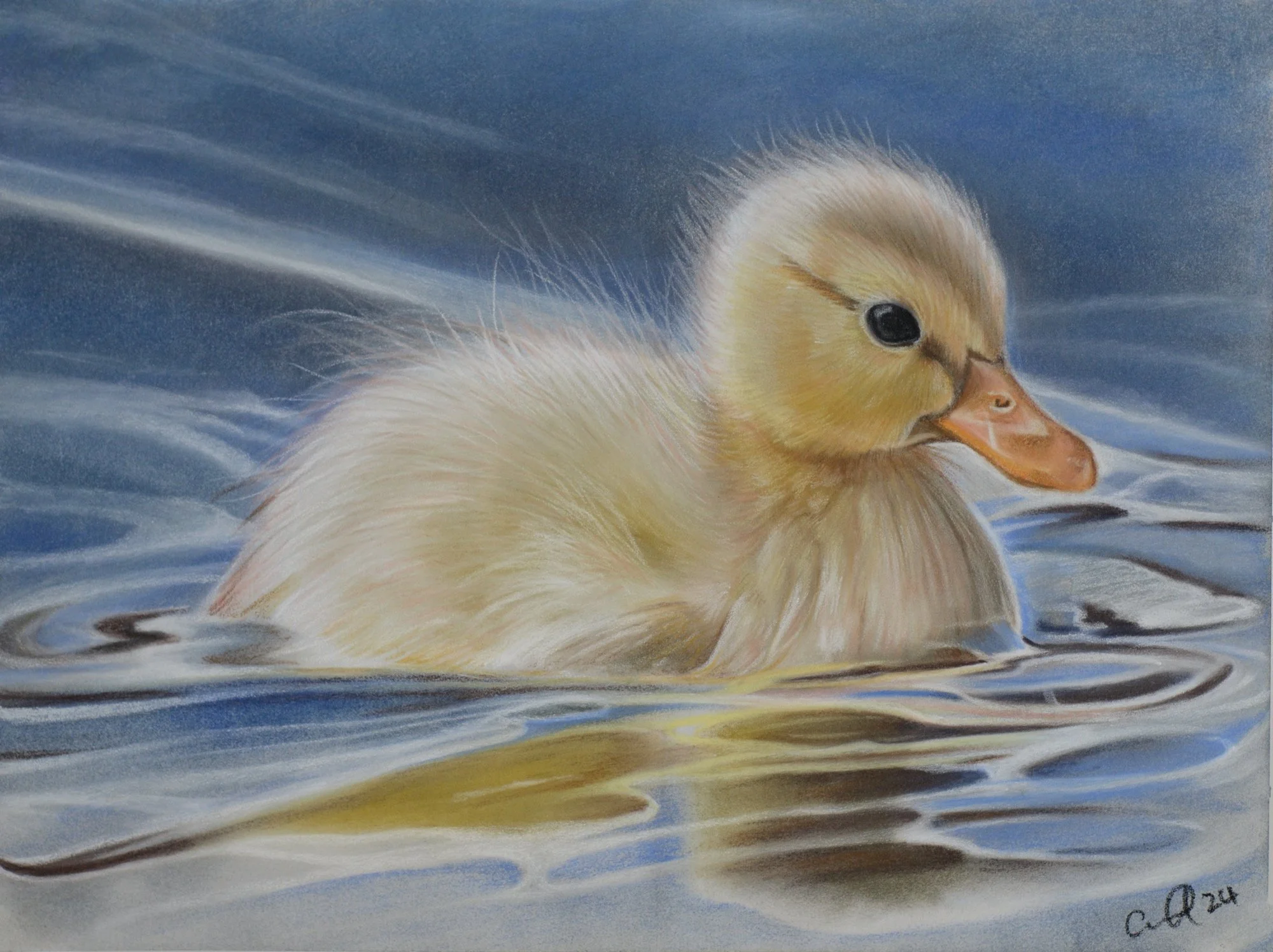 Paddle Puddle Duckling