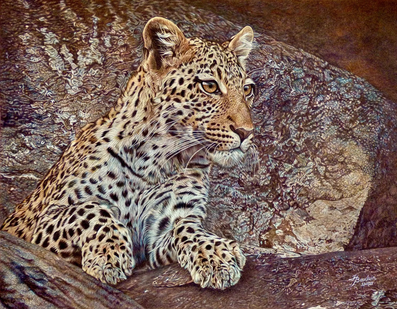 Rock Leopard